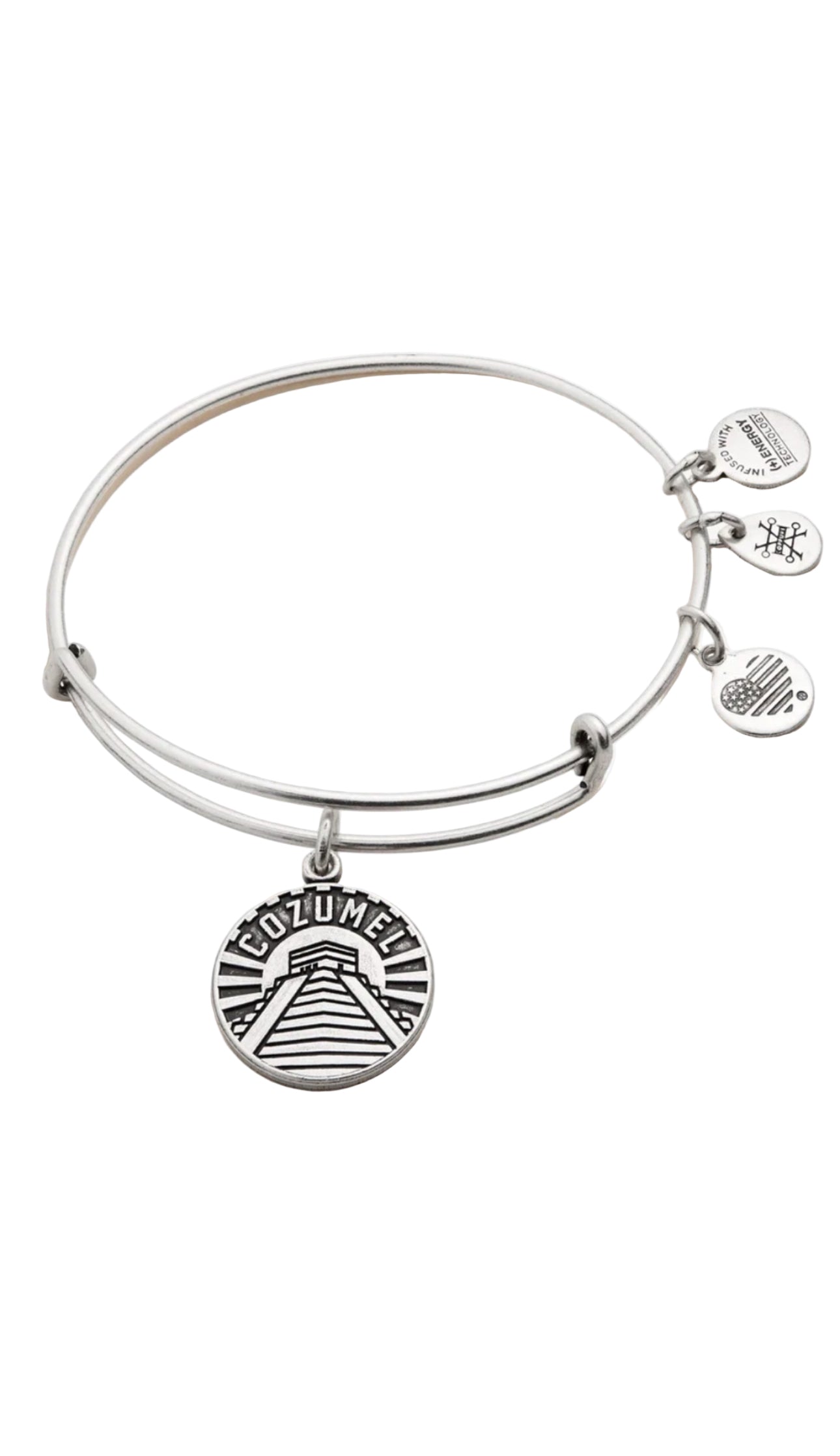 Alex and Ani - Cozumel Charm Bangle Bracelet