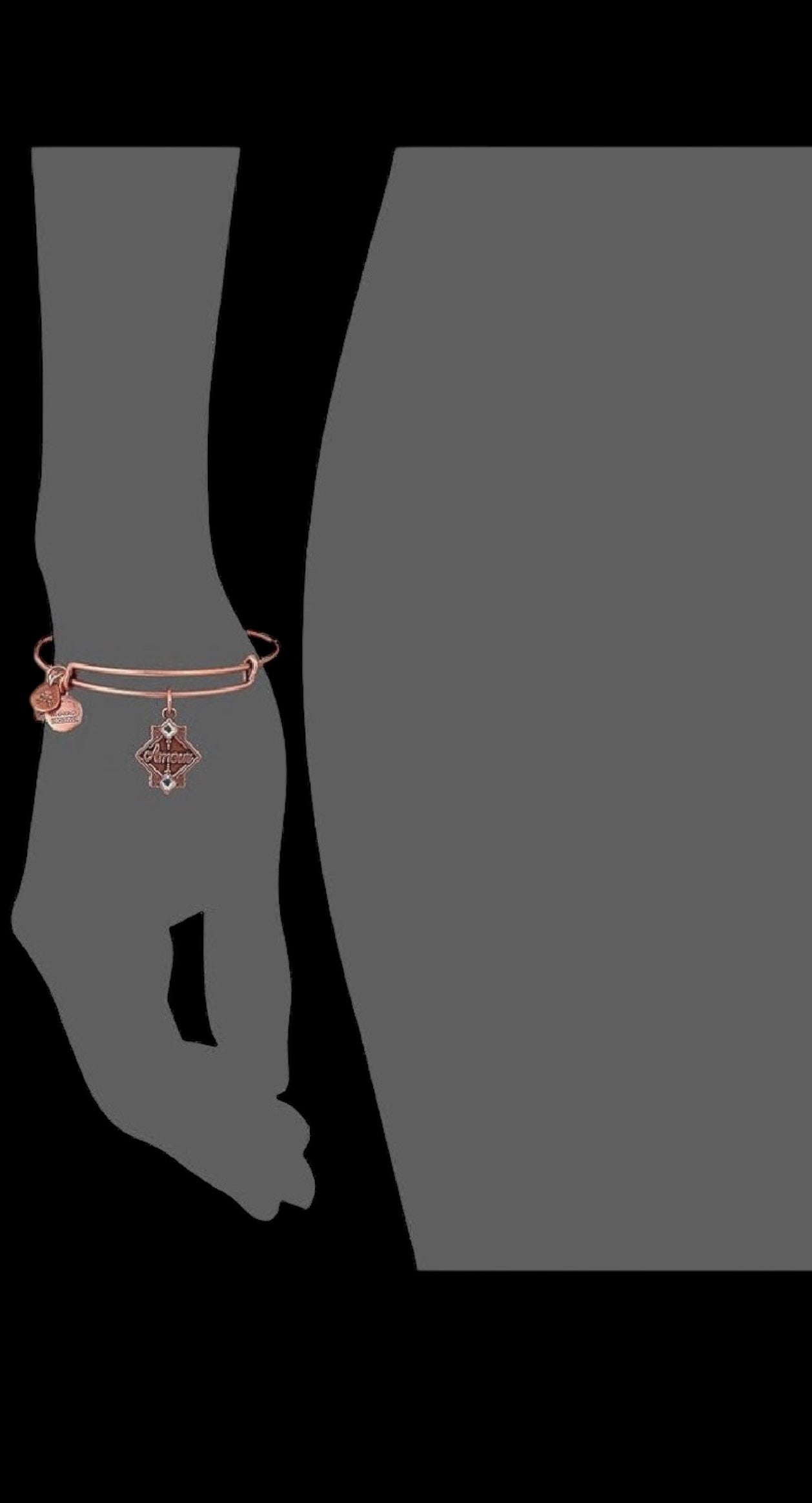 Alex And Ani - Amour (Love) Bangle Bracelet