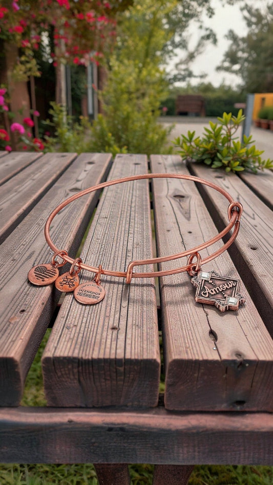 Alex And Ani - Amour (Love) Bangle Bracelet