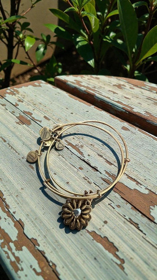 Alex and Ani - ‘You Are My Heart’ Two Tone Set of 2 Bangle Bracelet