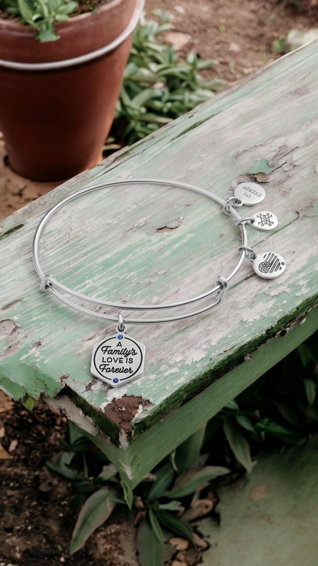 l Love This Life - My Family, My Love Charm, Stainless Steel, Family Tree Bangle Bracelet