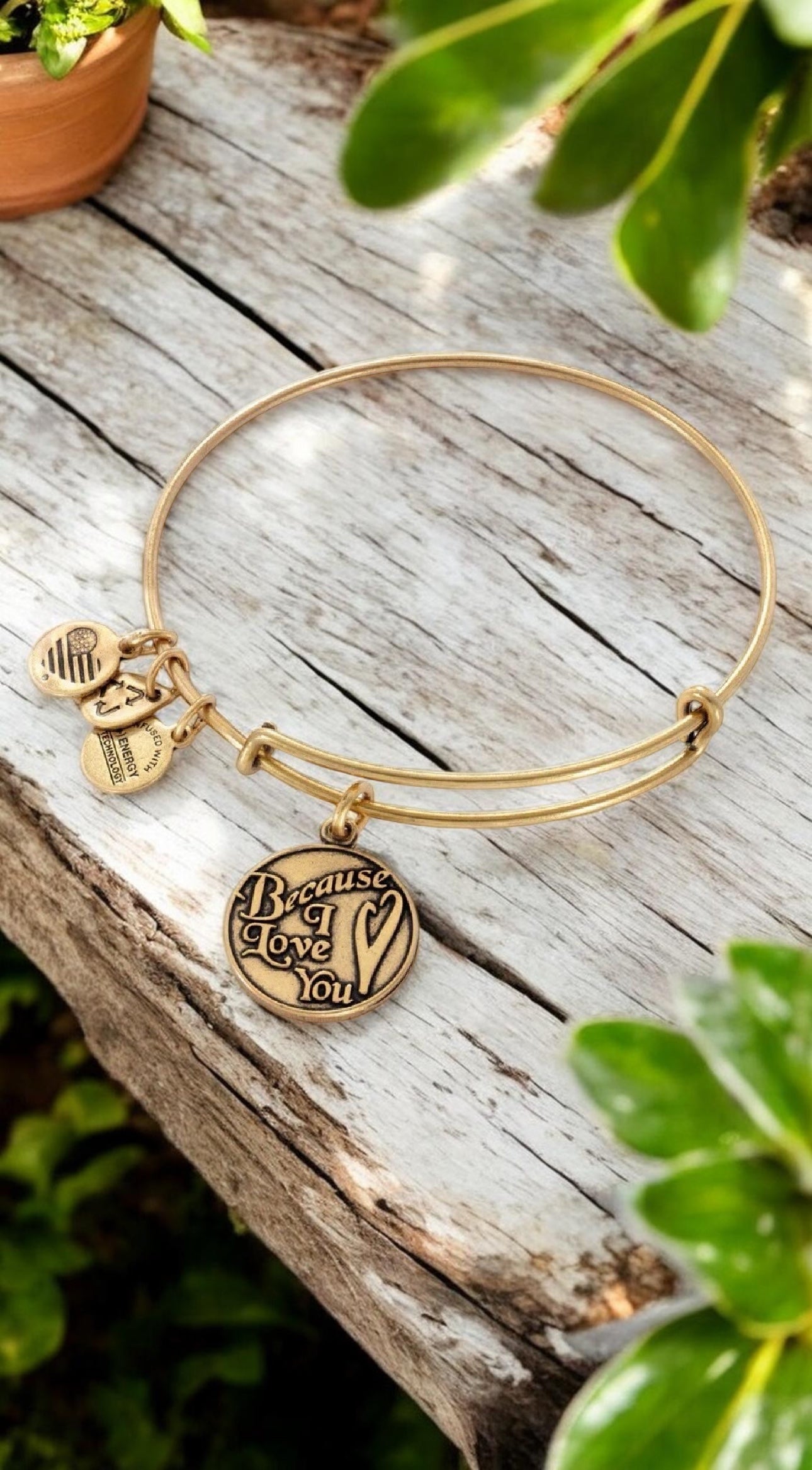 Alex and Ani - ‘Because I Love You’ Charm Bangle Bracelet