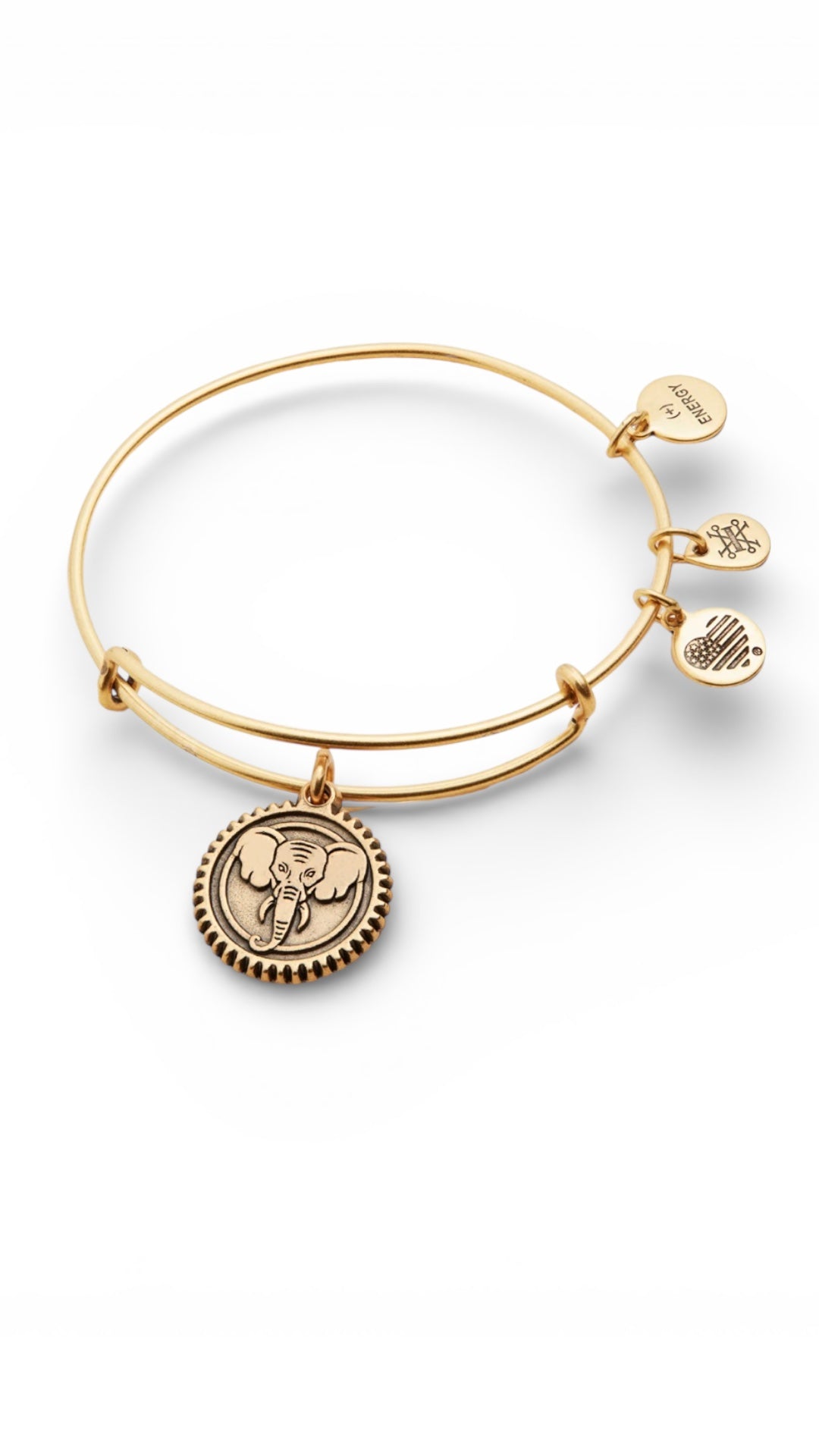 Alex and Ani - Elephant Embossed Charm Bangle Bracelet