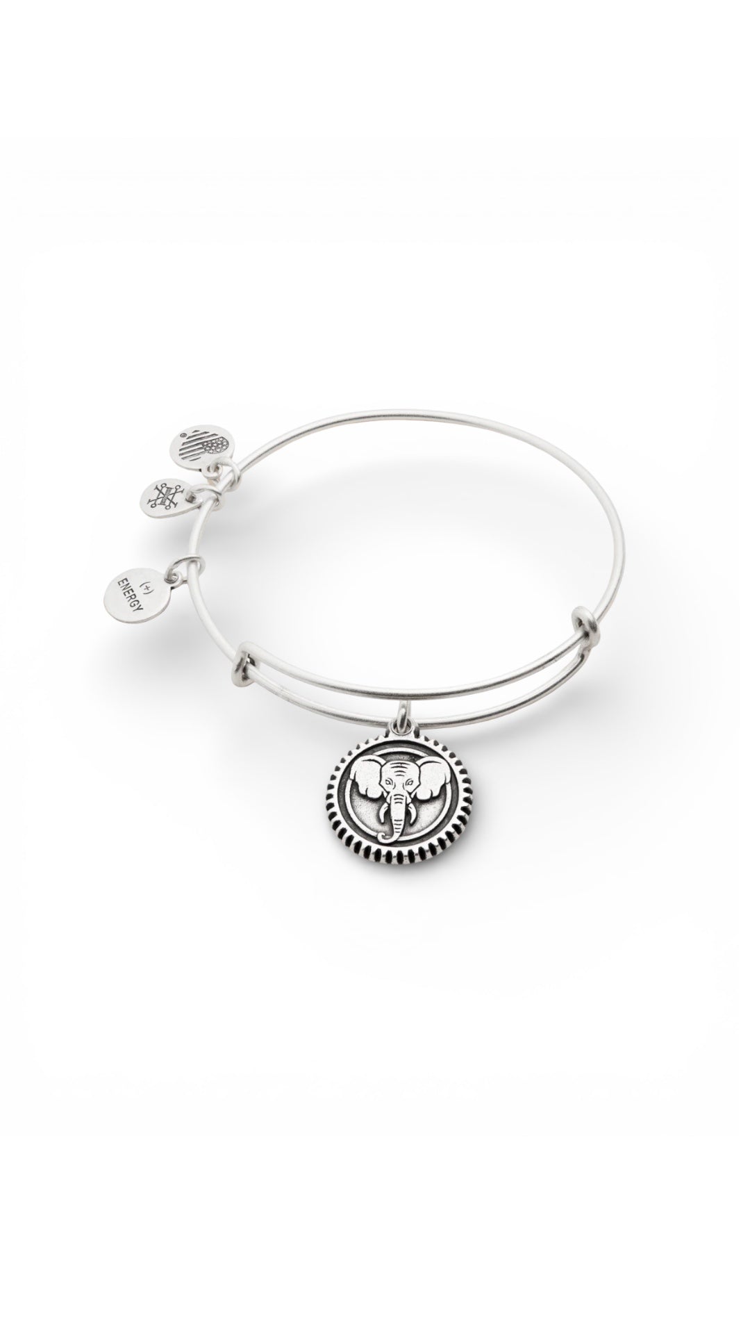 Alex and Ani - Elephant Embossed Charm Bangle Bracelet