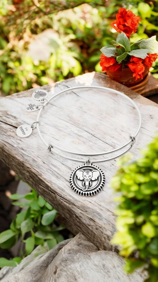 Alex and Ani - Elephant Embossed Charm Bangle Bracelet