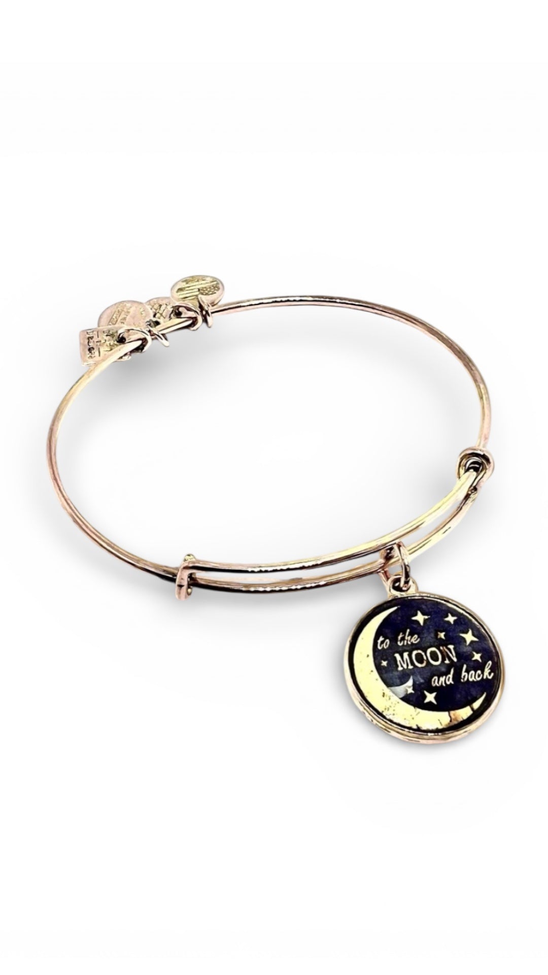 Alex and Ani - Art Infused ‘To The Moon and Back’ Charm Bangle Bracelet