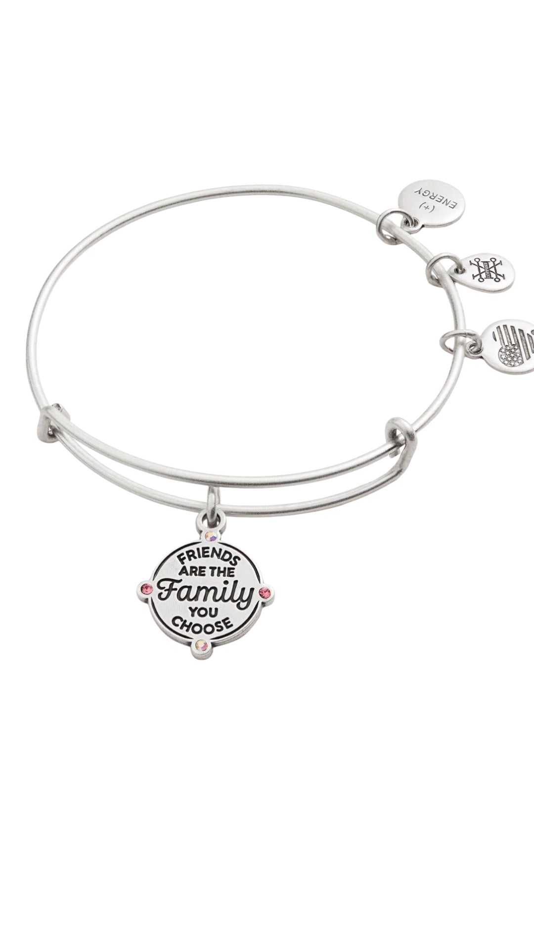 Alex and Ani - 'Friends are the Family You Choose' Charm Bangle Bracelet