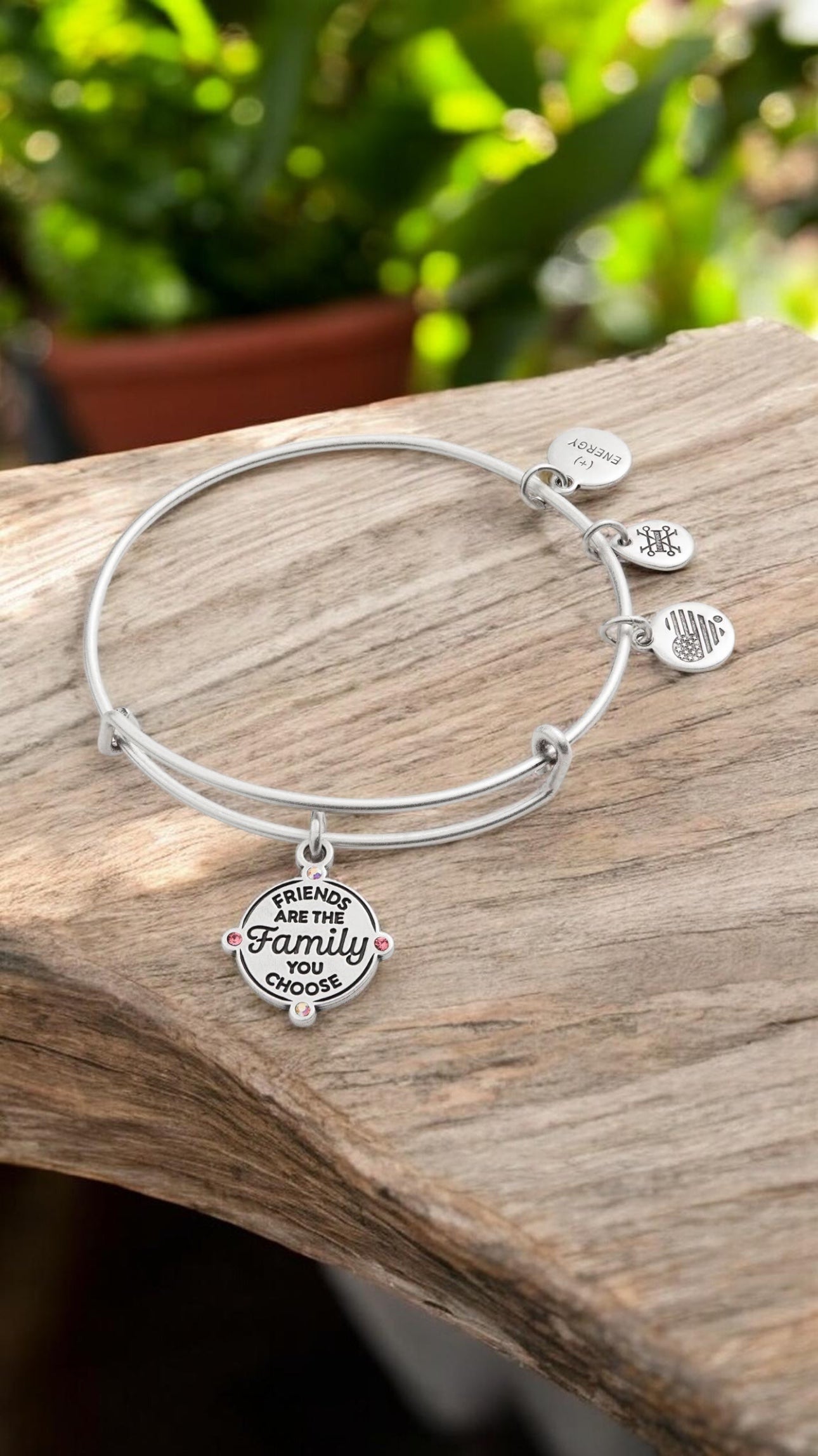 Alex and Ani - 'Friends are the Family You Choose' Charm Bangle Bracelet