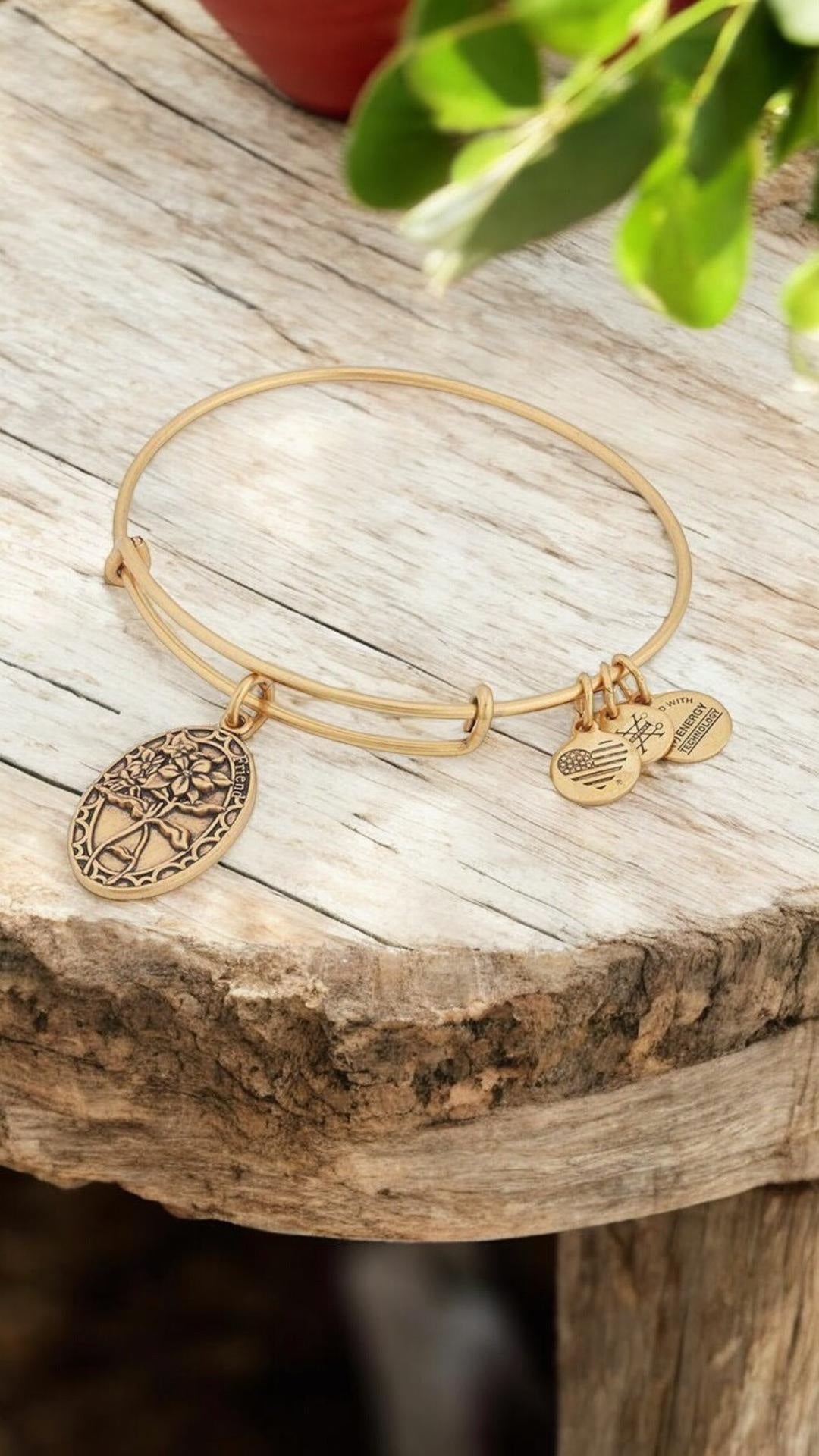 Alex and Ani - Because I Love You ‘Friend’ Periwinkle Charm Bangle Bracelet