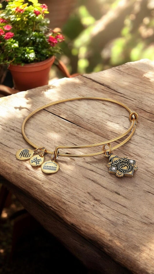 Alex and Ani - Because I Love You, Friend Charm Bangle Bracelet