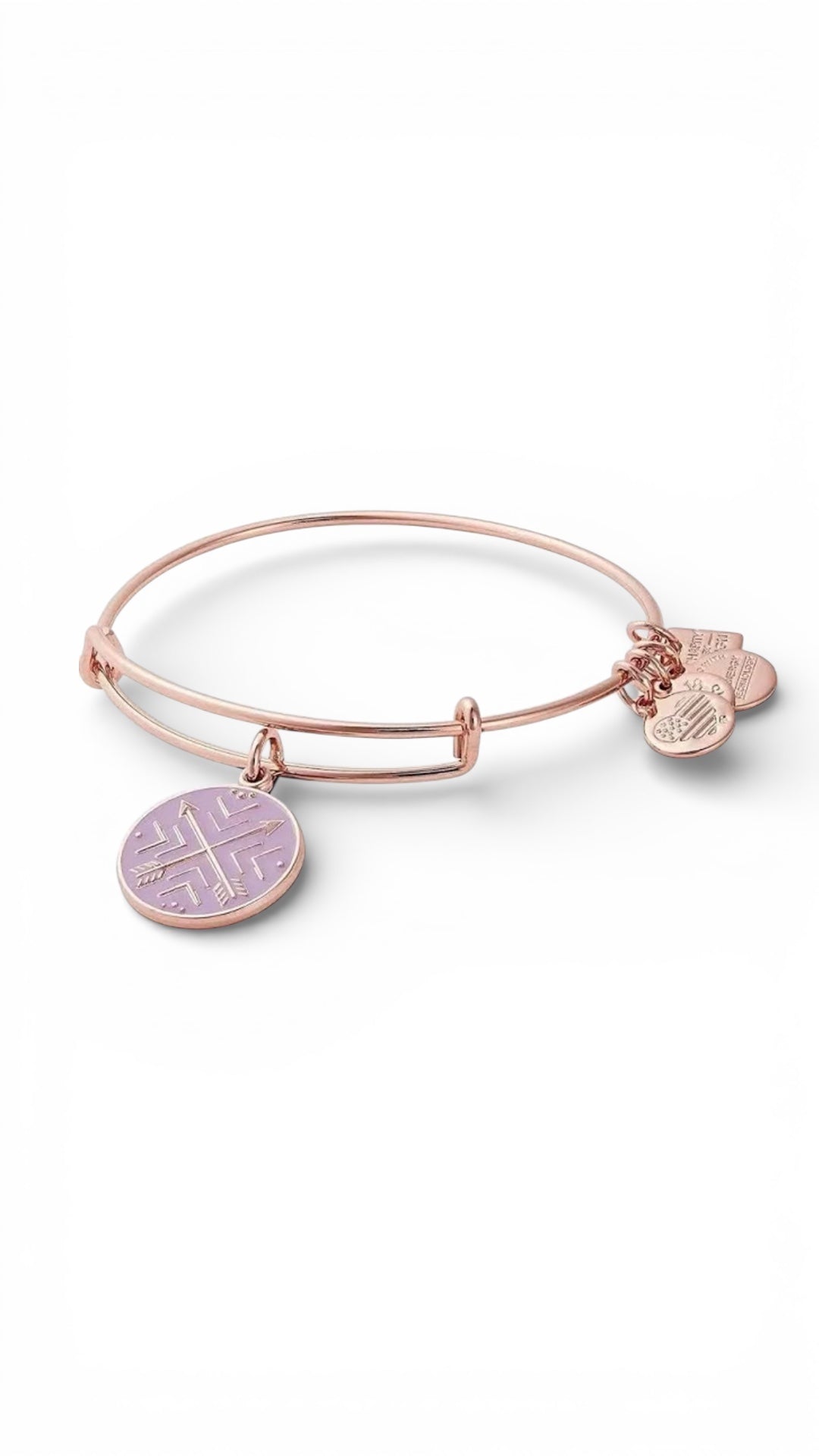 Alex and Ani - Arrows of Friendship Charm Bangle Bracelet
