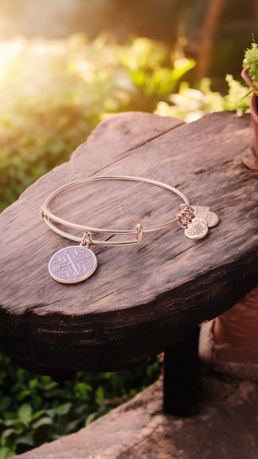 Alex and Ani - Arrows of Friendship Charm Bangle Bracelet
