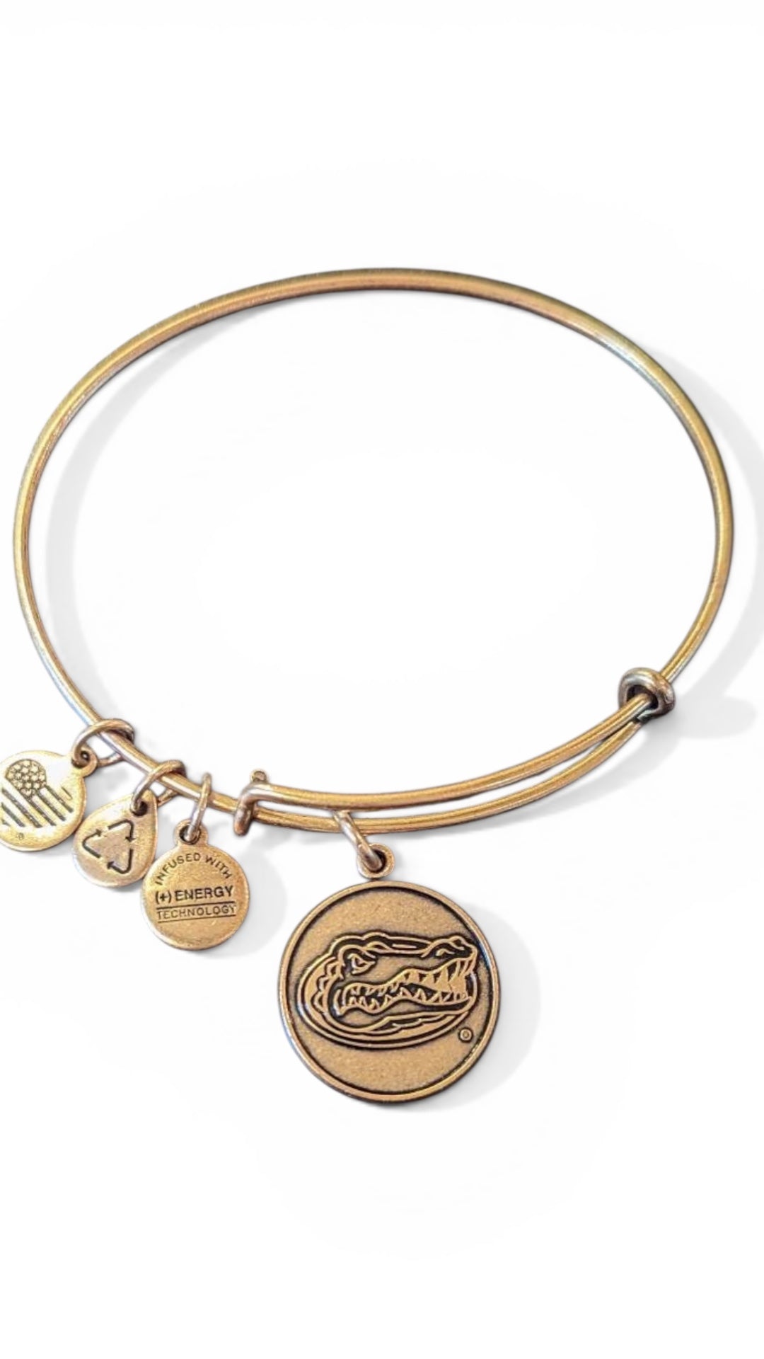 Alex and Ani - Florida State University Gator Charm Bangle Bracelet