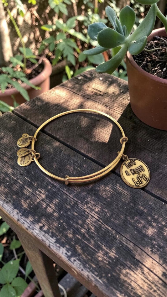 Alex and Ani - Live A Happy Life Charm Bangle Bracelet, Words Have Special Meaning, 2 Styles