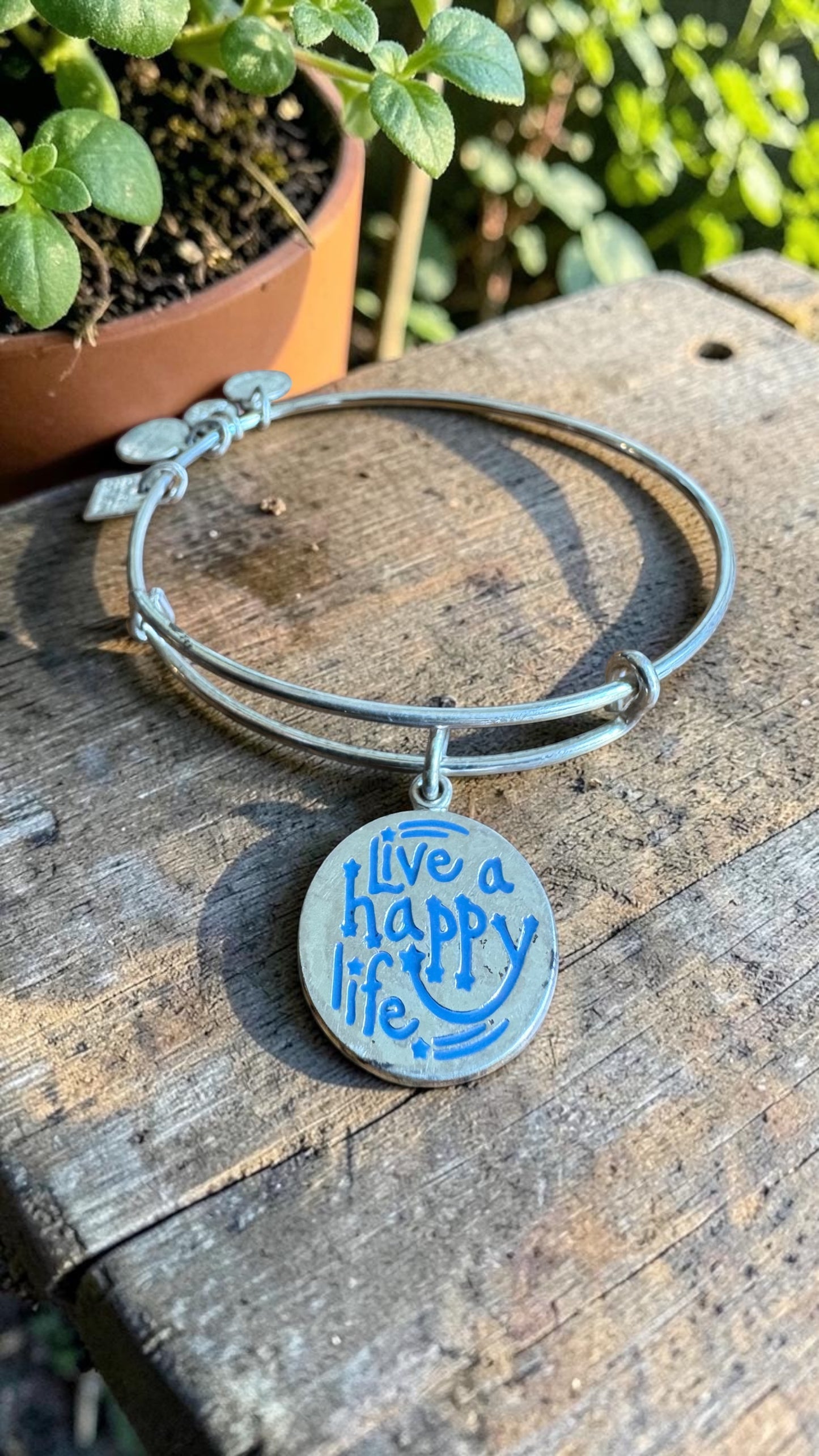 Alex and Ani - Live A Happy Life Charm Bangle Bracelet, Words Have Special Meaning, 2 Styles