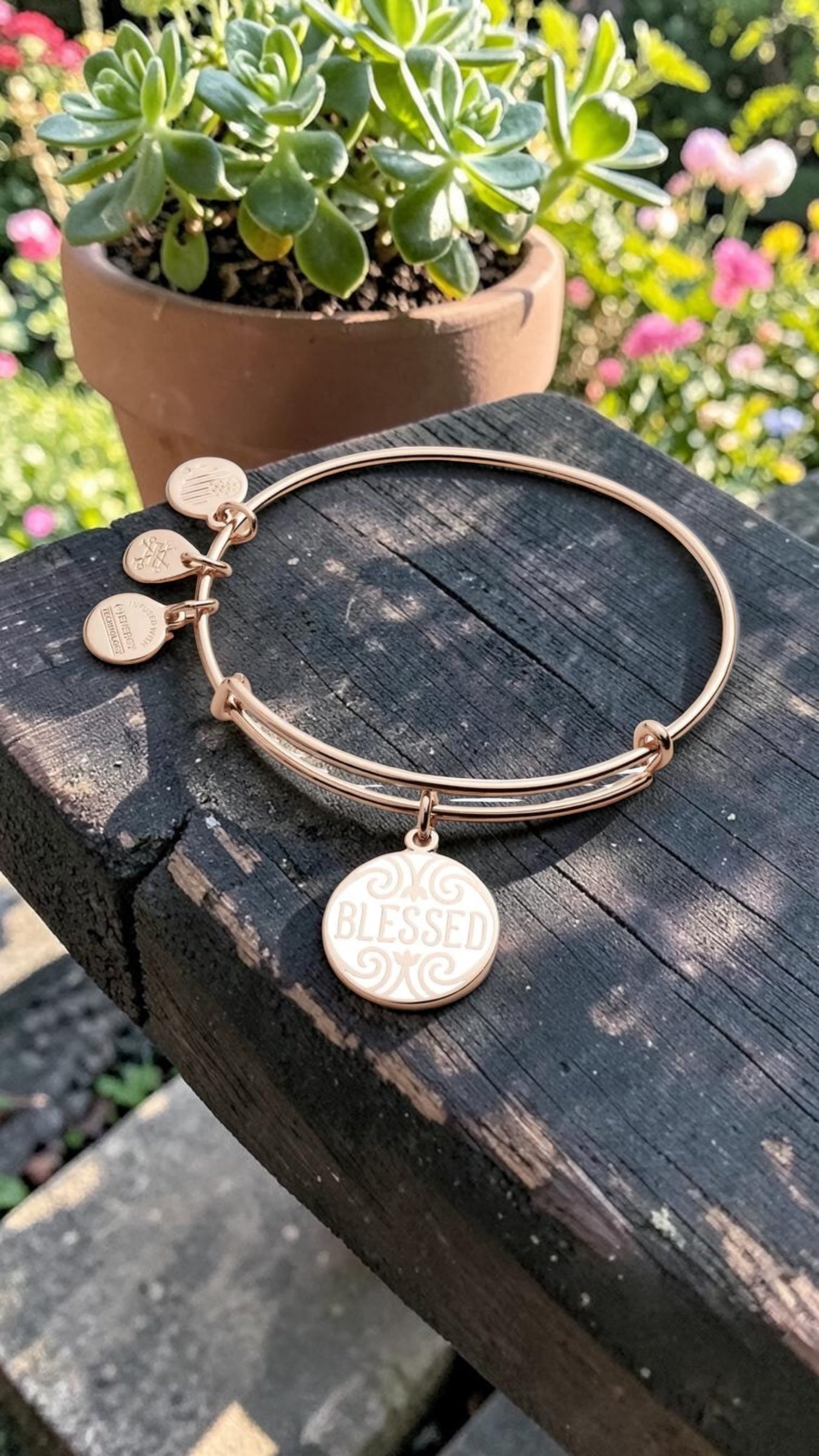 Alex and Ani - Blessed Charm Bangle Bracelet