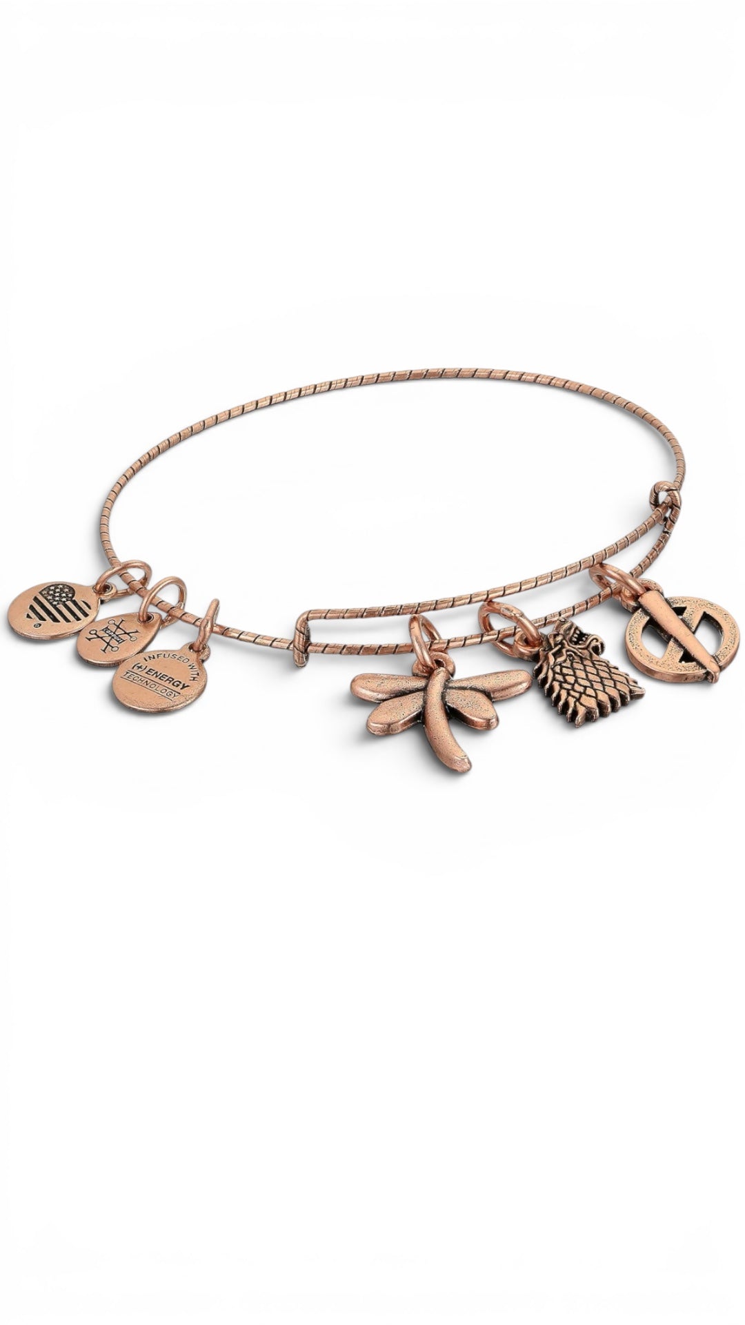 Alex and Ani - Sansa Charm Game of Thrones Bangle Bracelet