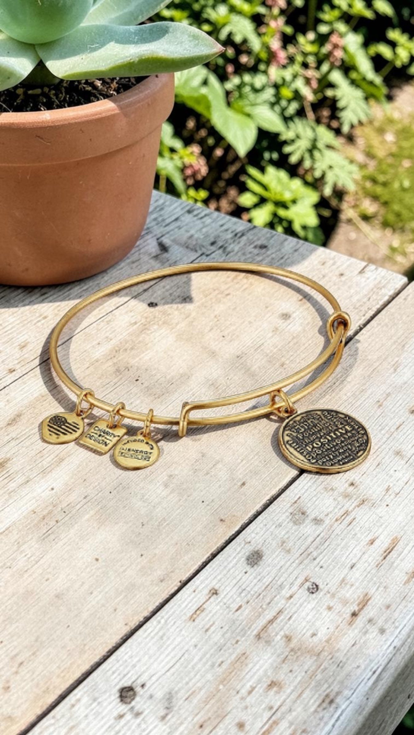 Alex and Ani - Positive Is How I Live Bangle Bracelet