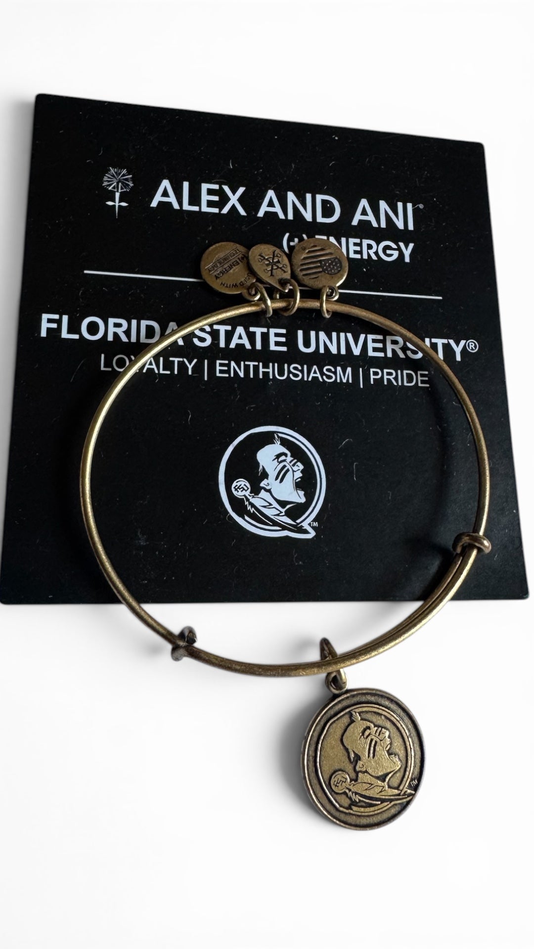 Alex and Ani - Florida State University Seminoles Charm Bangle Bracelet, College Alumni