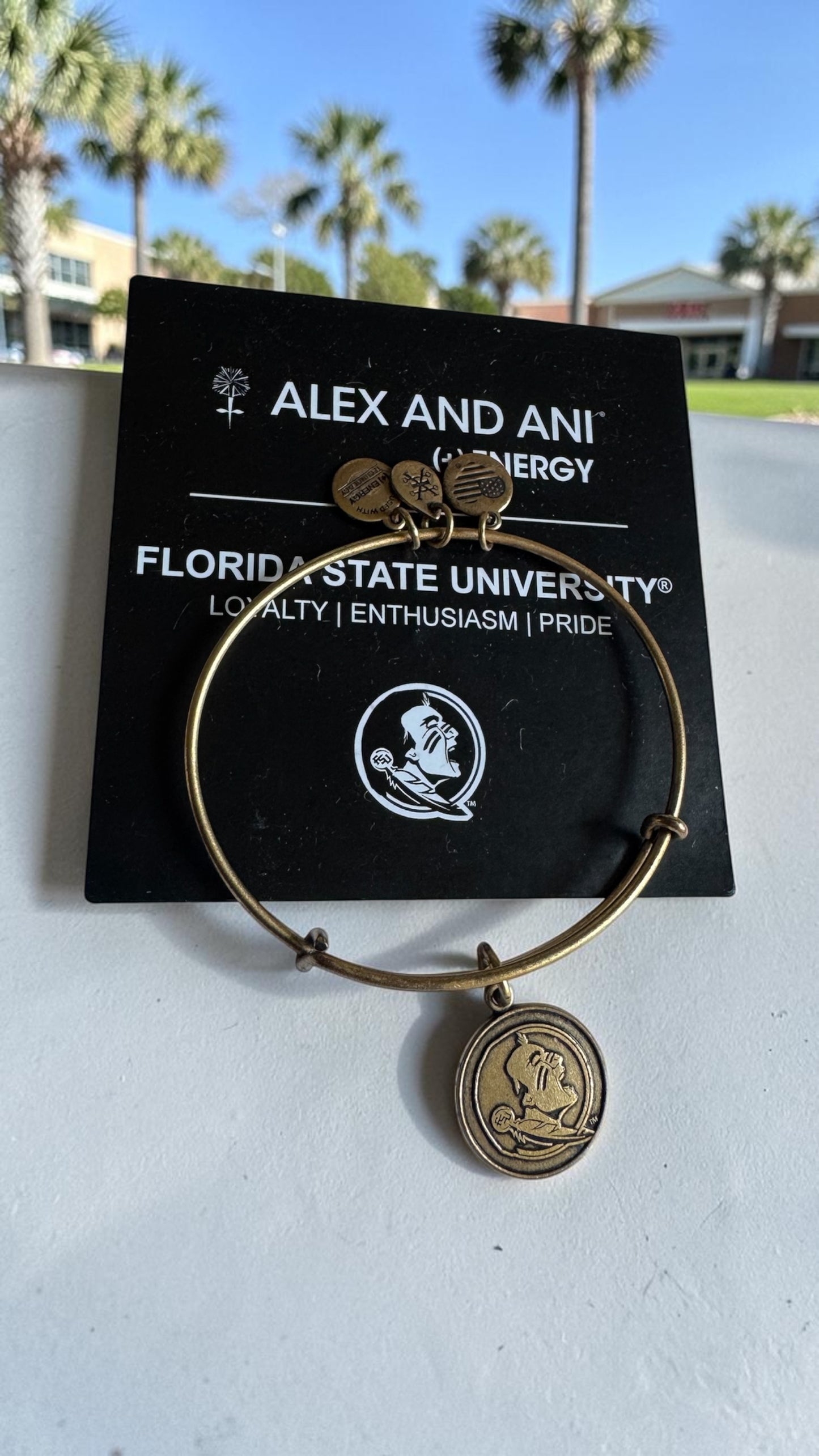 Alex and Ani - Florida State University Seminoles Charm Bangle Bracelet, College Alumni