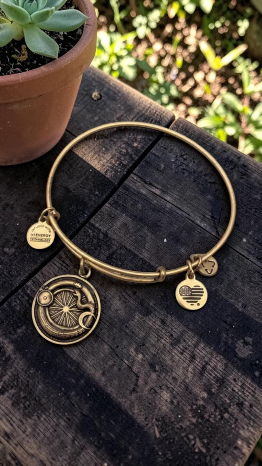 Alex and Ani - Ouroboros Charm Bangle Bracelet