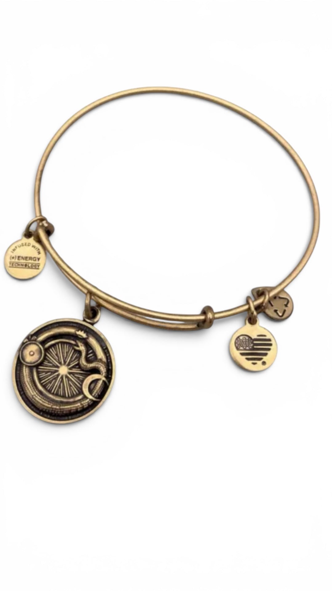 Alex and Ani - Ouroboros Charm Bangle Bracelet