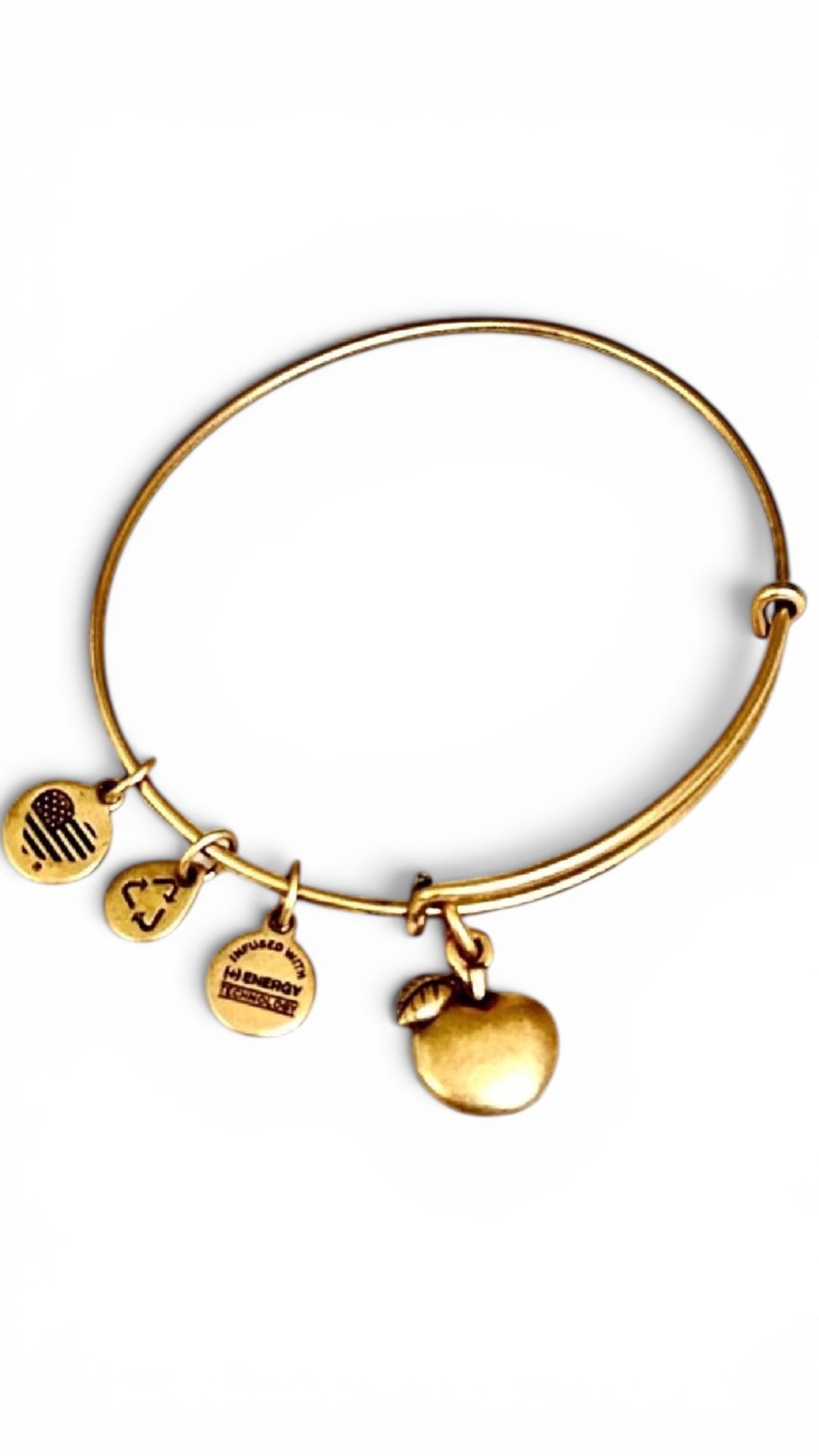 Alex and Ani - Apple of Abundance Charm Bangle Bracelet