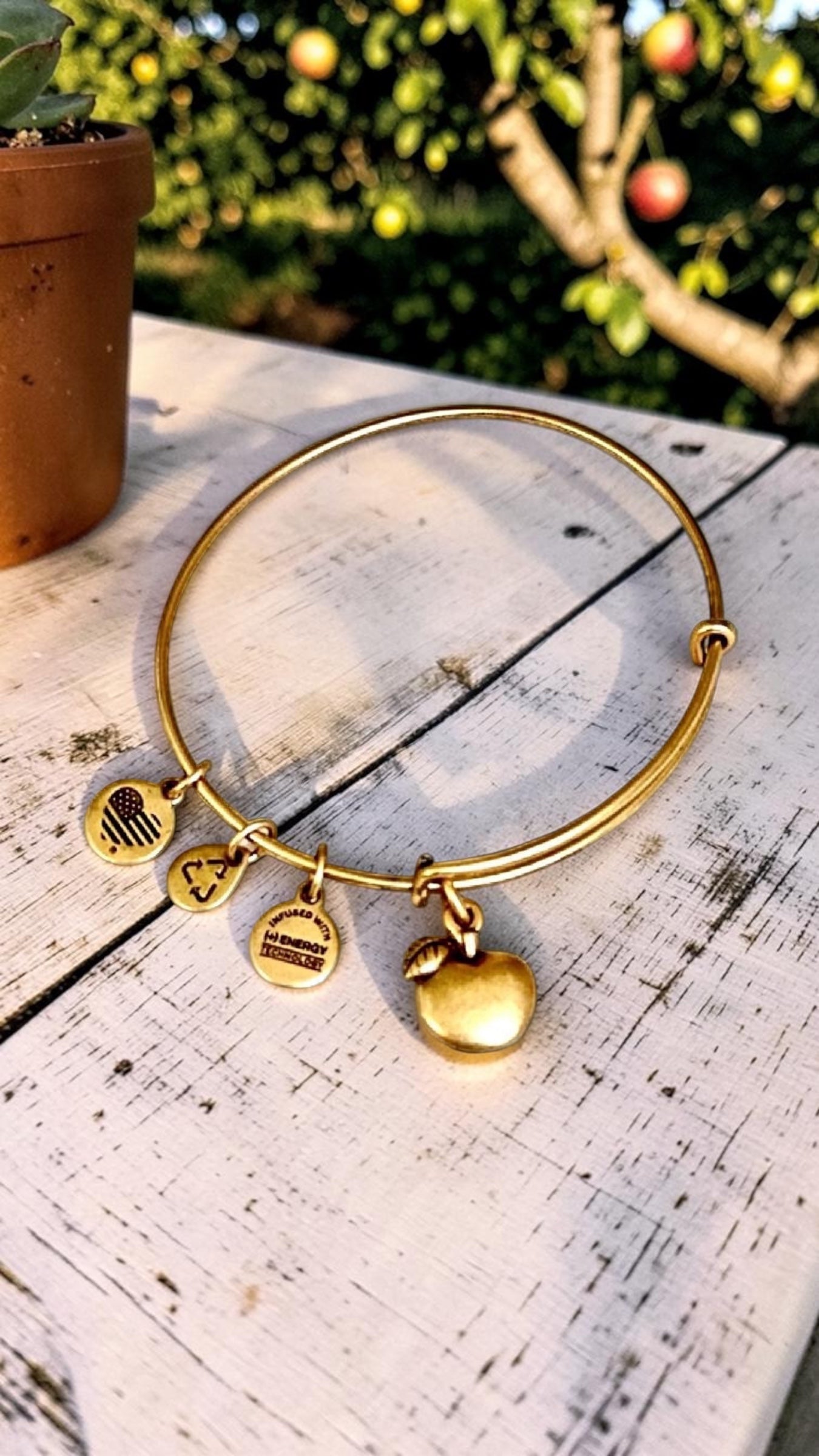 Alex and Ani - Apple of Abundance Charm Bangle Bracelet