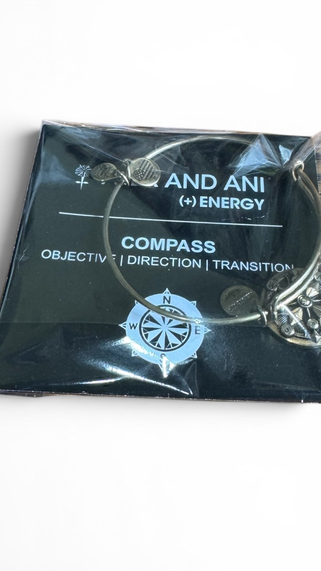 Alex and Ani - Larger Compass Charm Bangle Bracelet