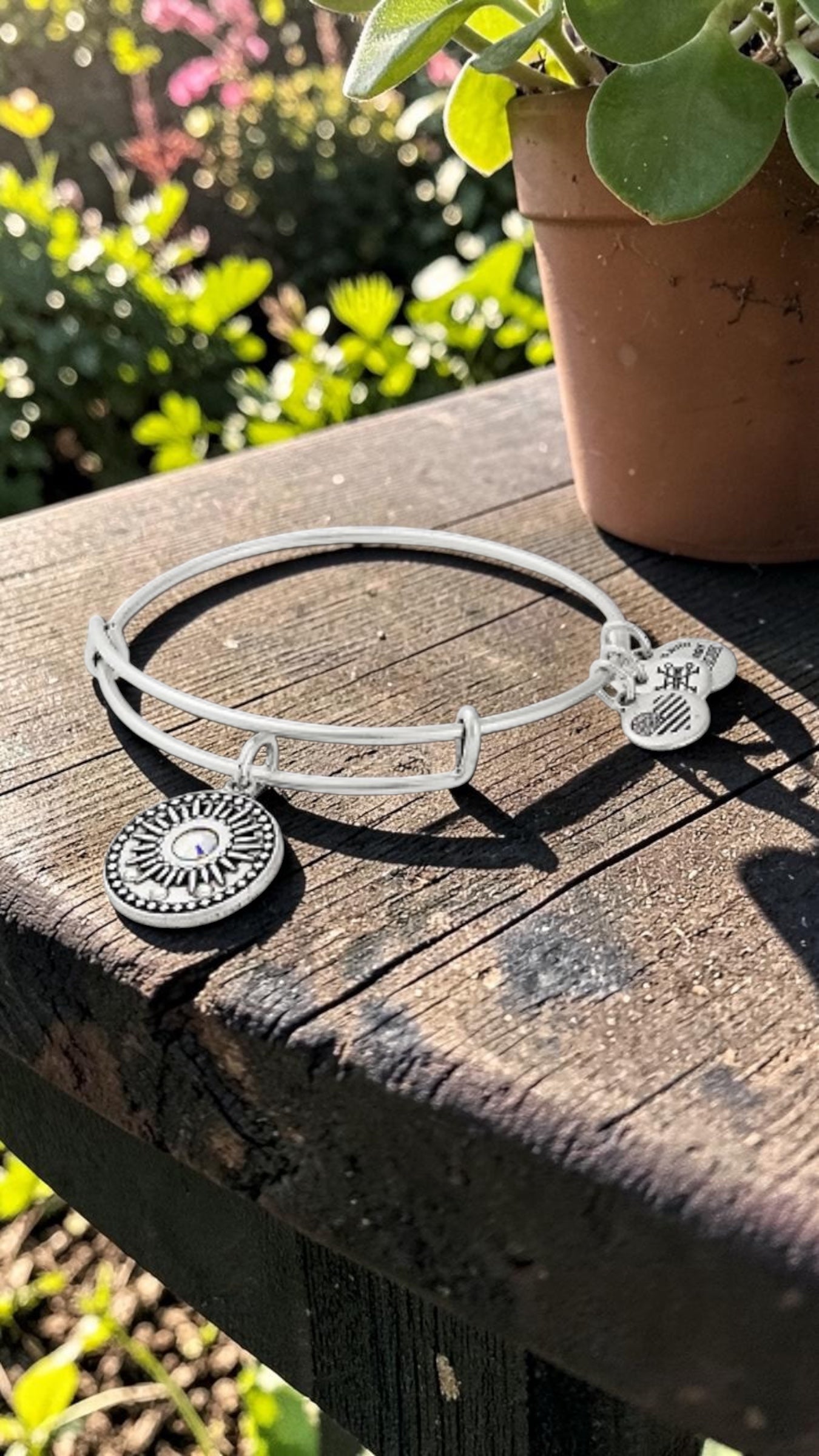 Alex and Ani - Midnight Sun Charm Charm Bangle Bracelet