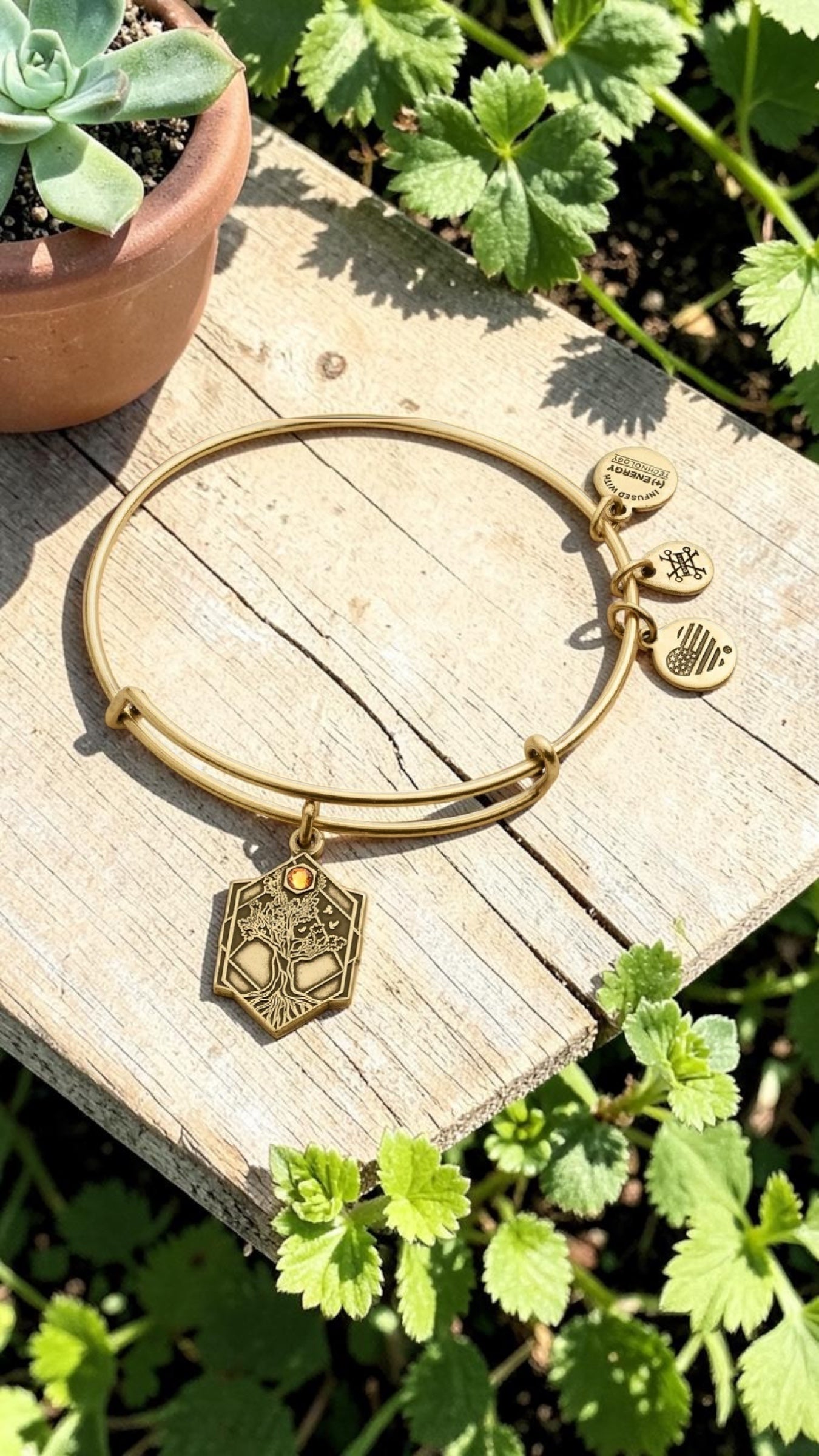 Alex and Ani - Tree of Life w/Swarovski Crystal Charm Bangle Bangle Bracelet