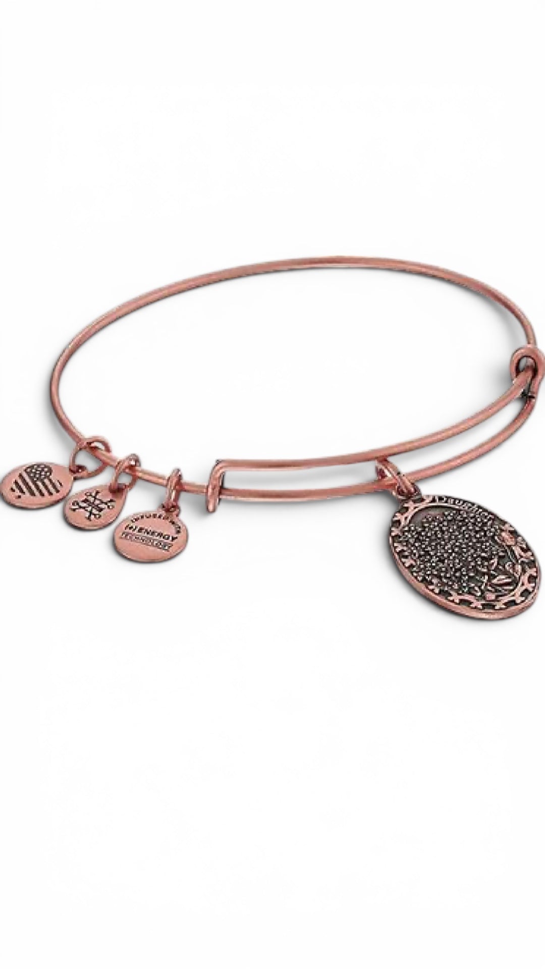 Alex and Ani -  Because I Love You Daughter II Charm Bangle Bracelet
