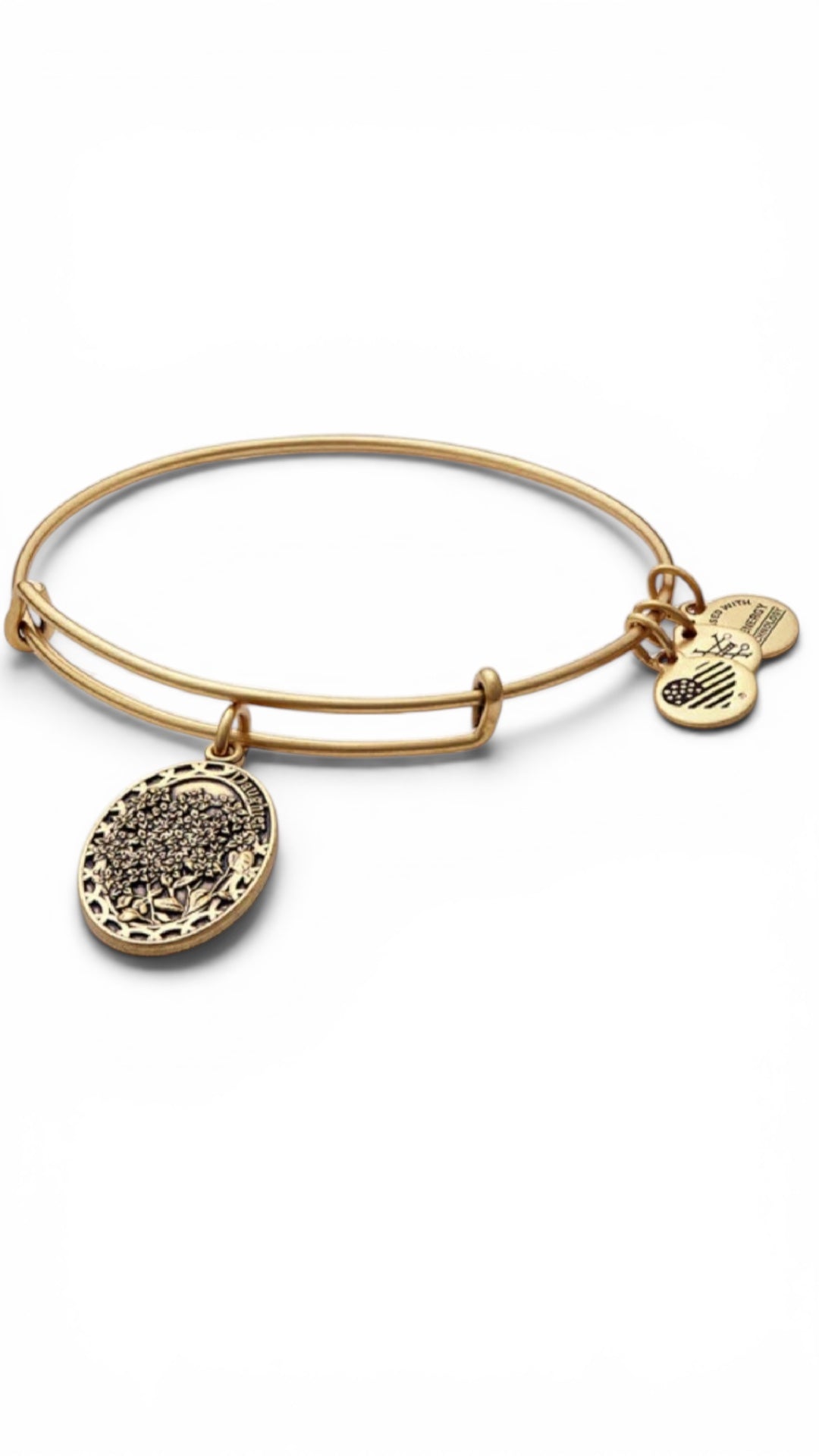 Alex and Ani -  Because I Love You Daughter II Charm Bangle Bracelet