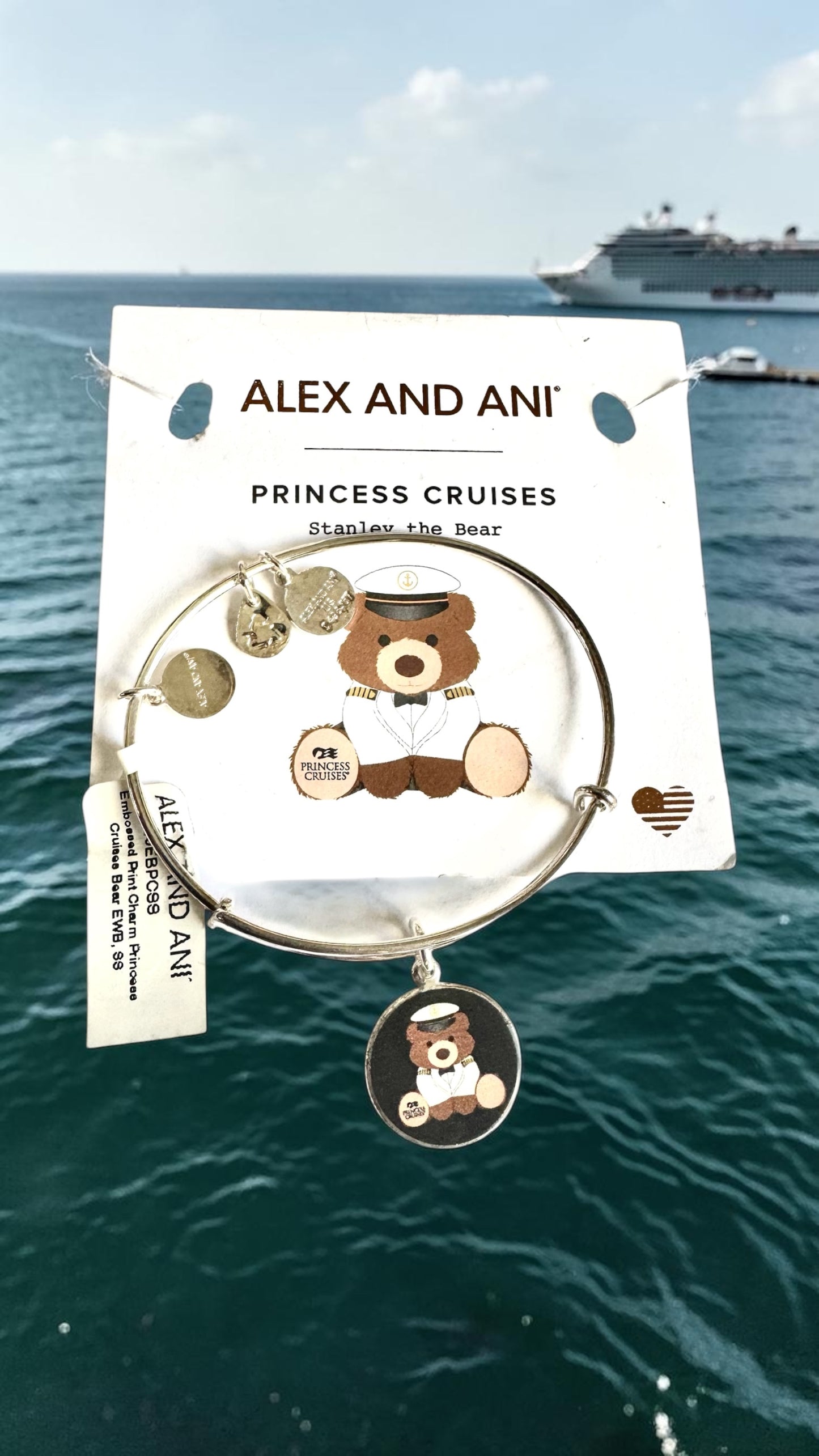 Alex and Ani - Stanley the Bear Charm Bangle Bracelet