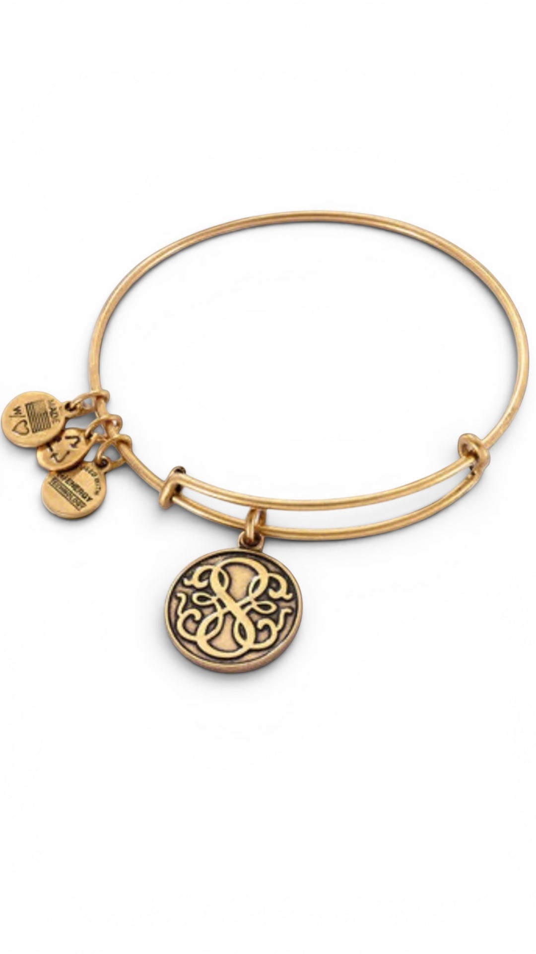Alex and Ani - Path of Life® Charm Bangle Bracelet