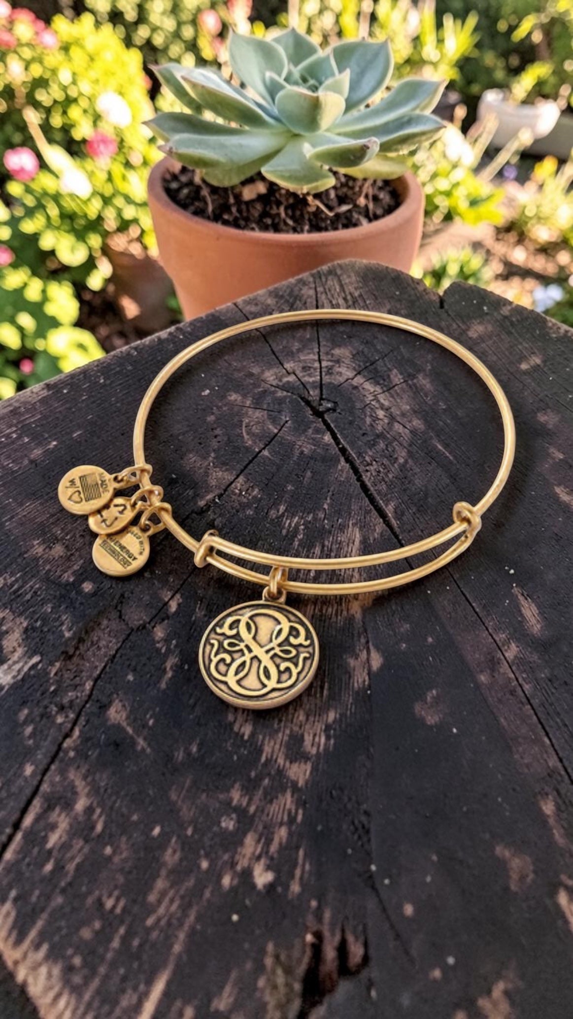 Alex and Ani - Path of Life® Charm Bangle Bracelet