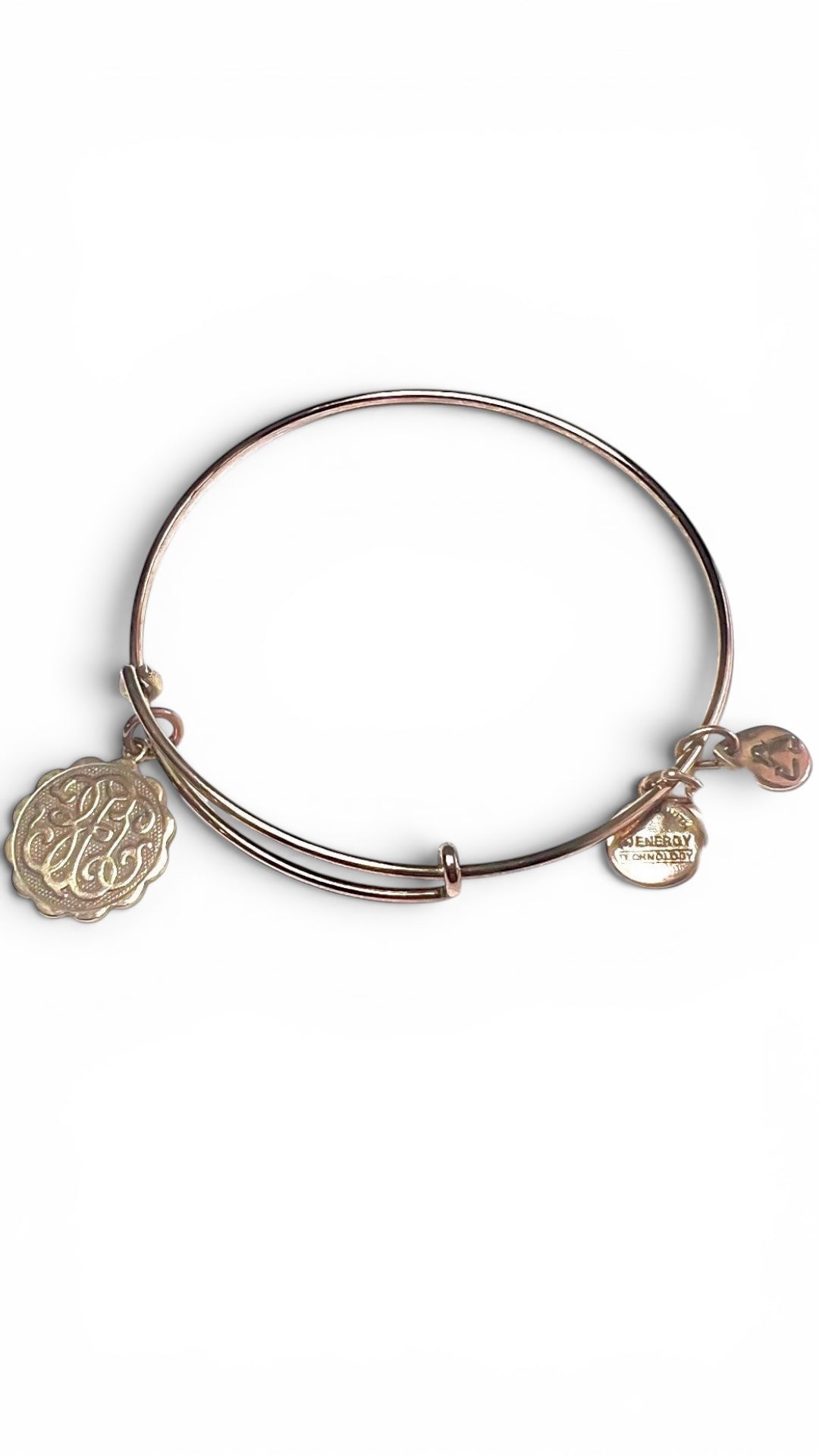 Alex and Ani - Path of Life® Charm Bangle Bracelet
