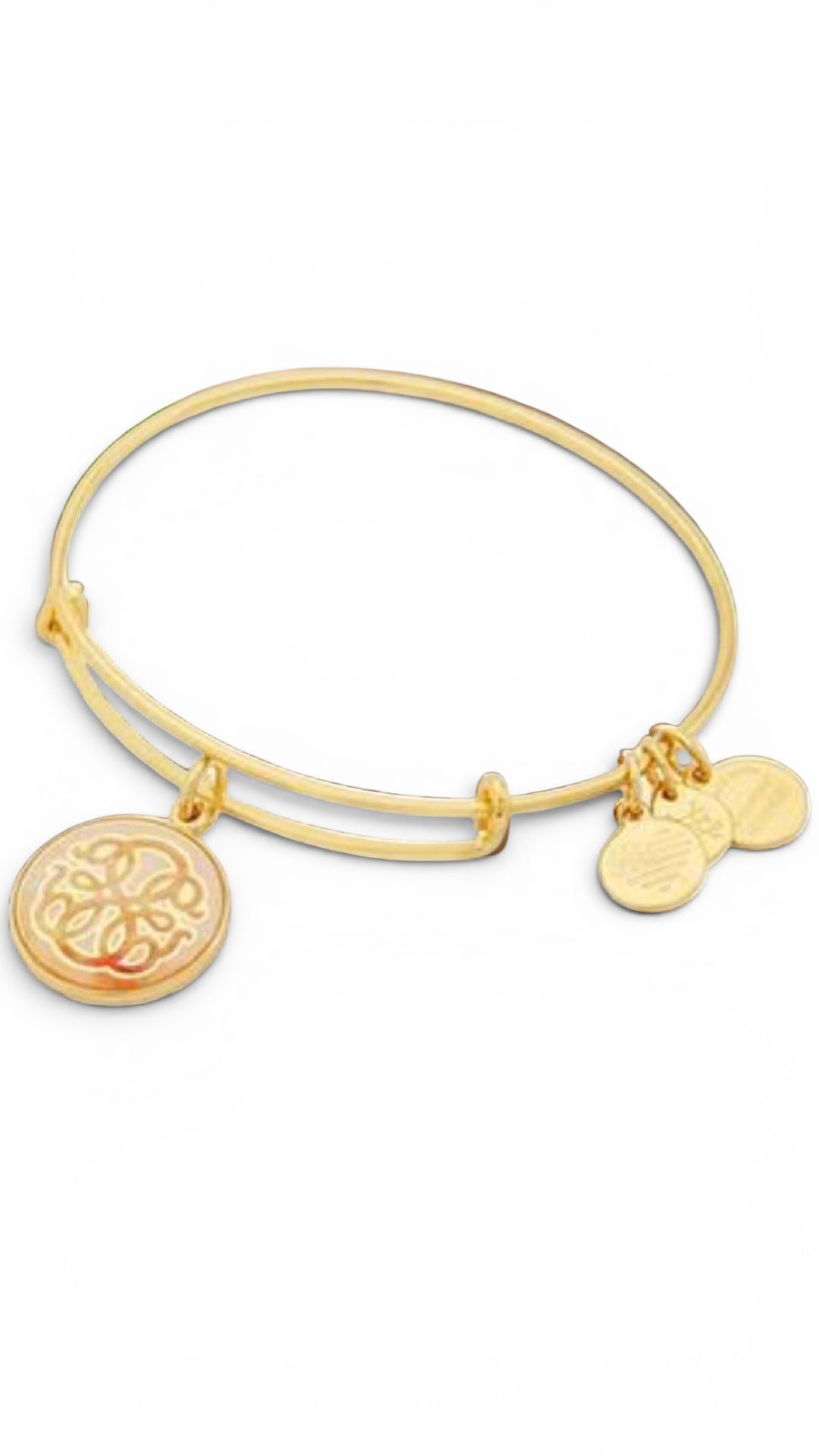 Alex and Ani - Path of Life Art Infusion Bangle Bracelet