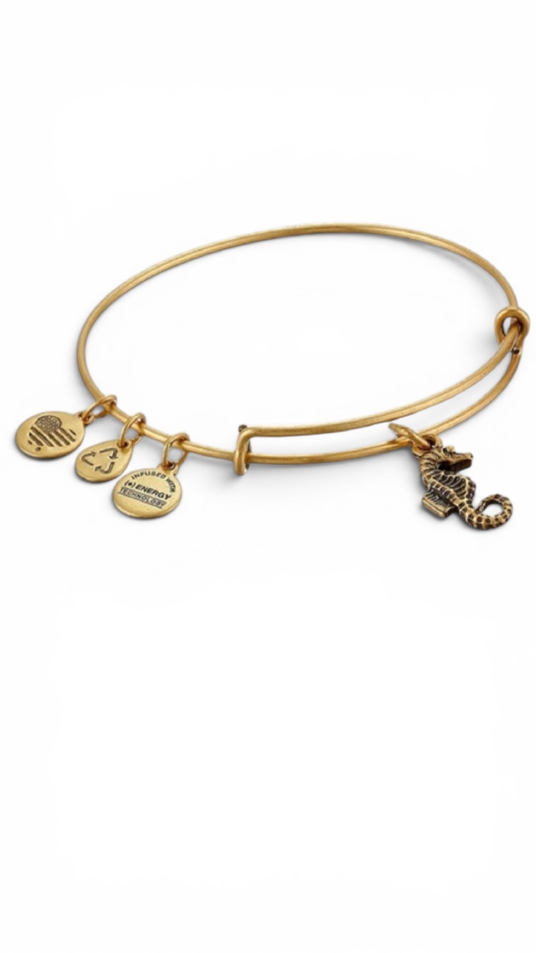 Alex and Ani - Seahorse Charm Bangle Bracelet