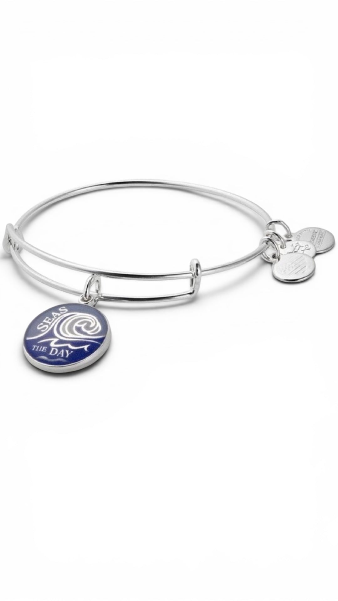 Alex and Ani - Seas the Day Charm Bangle Bracelet