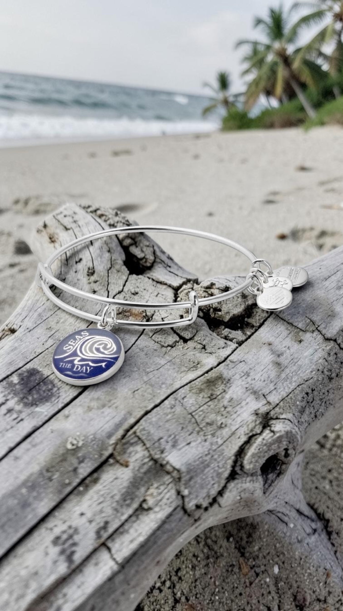 Alex and Ani - Seas the Day Charm Bangle Bracelet