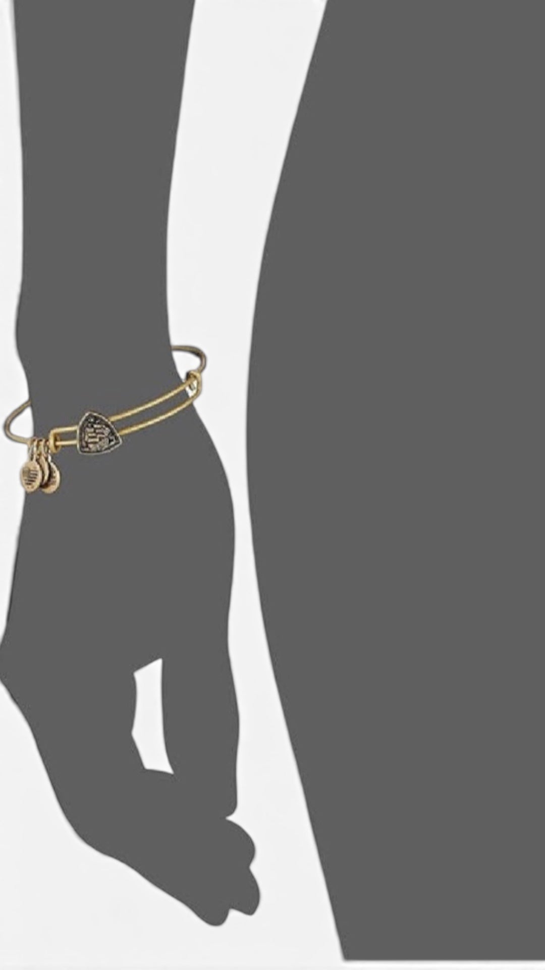 Alex and Ani - Steady Vessel Slider Charm Bangle Bracelet