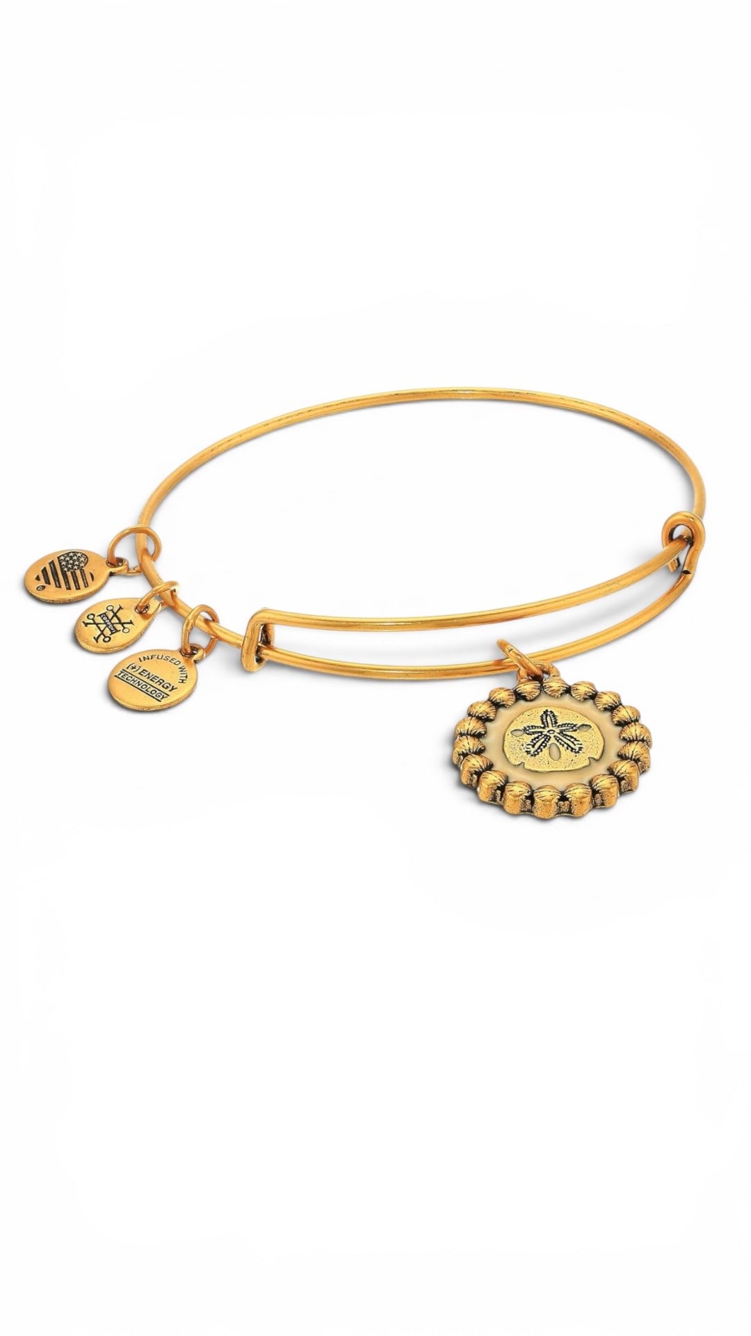 Alex and Ani - Sand Dollar Color Infusion Charm Bangle Bracelet