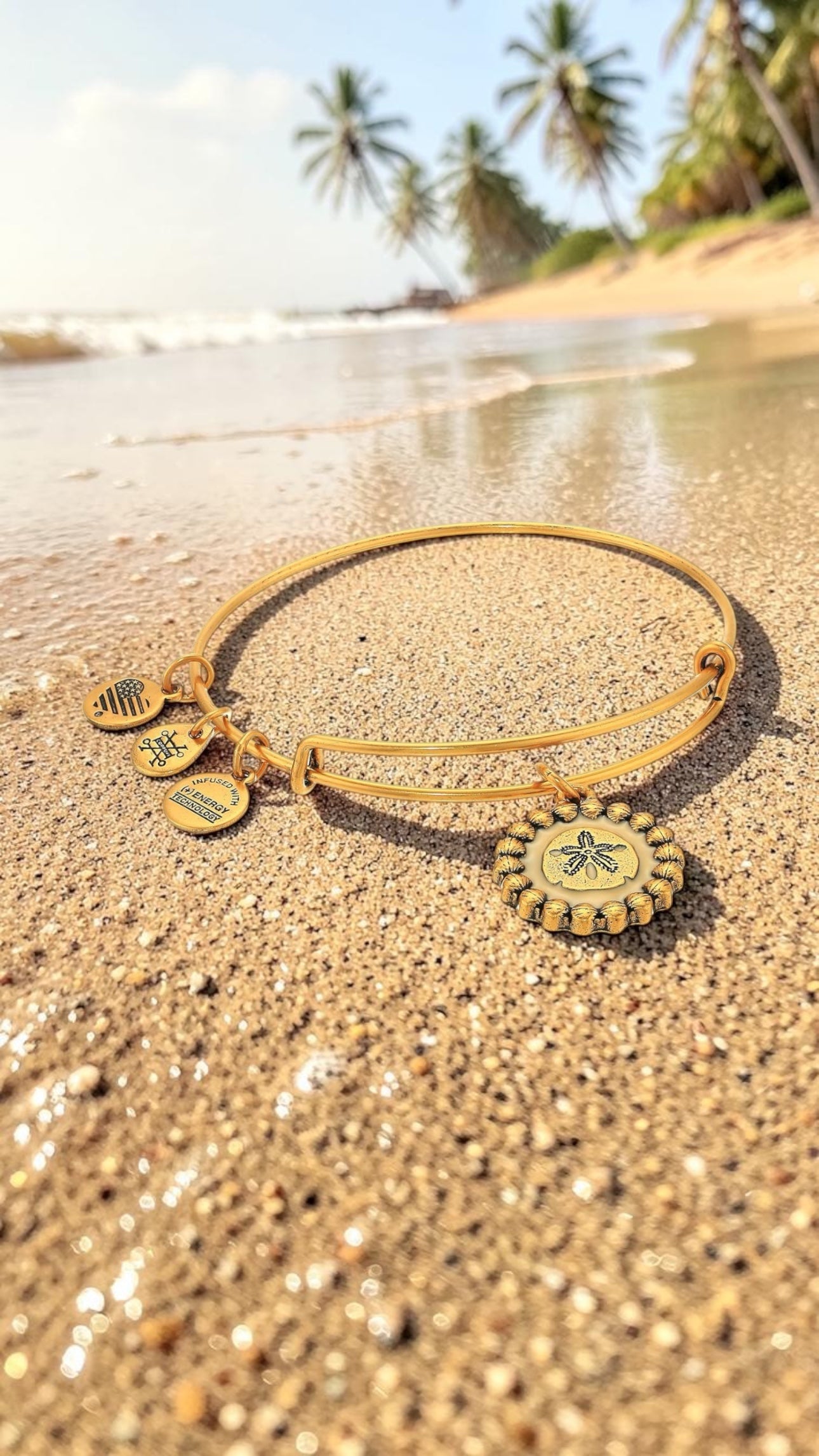 Alex and Ani - Sand Dollar Color Infusion Charm Bangle Bracelet