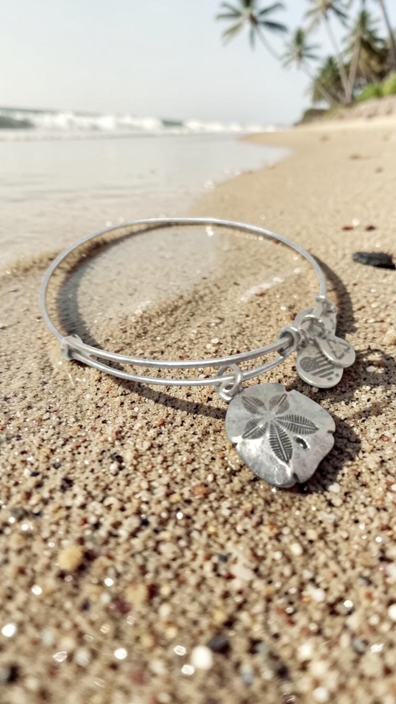 Alex and Ani - Sand Dollar Charm Bangle Bracelet