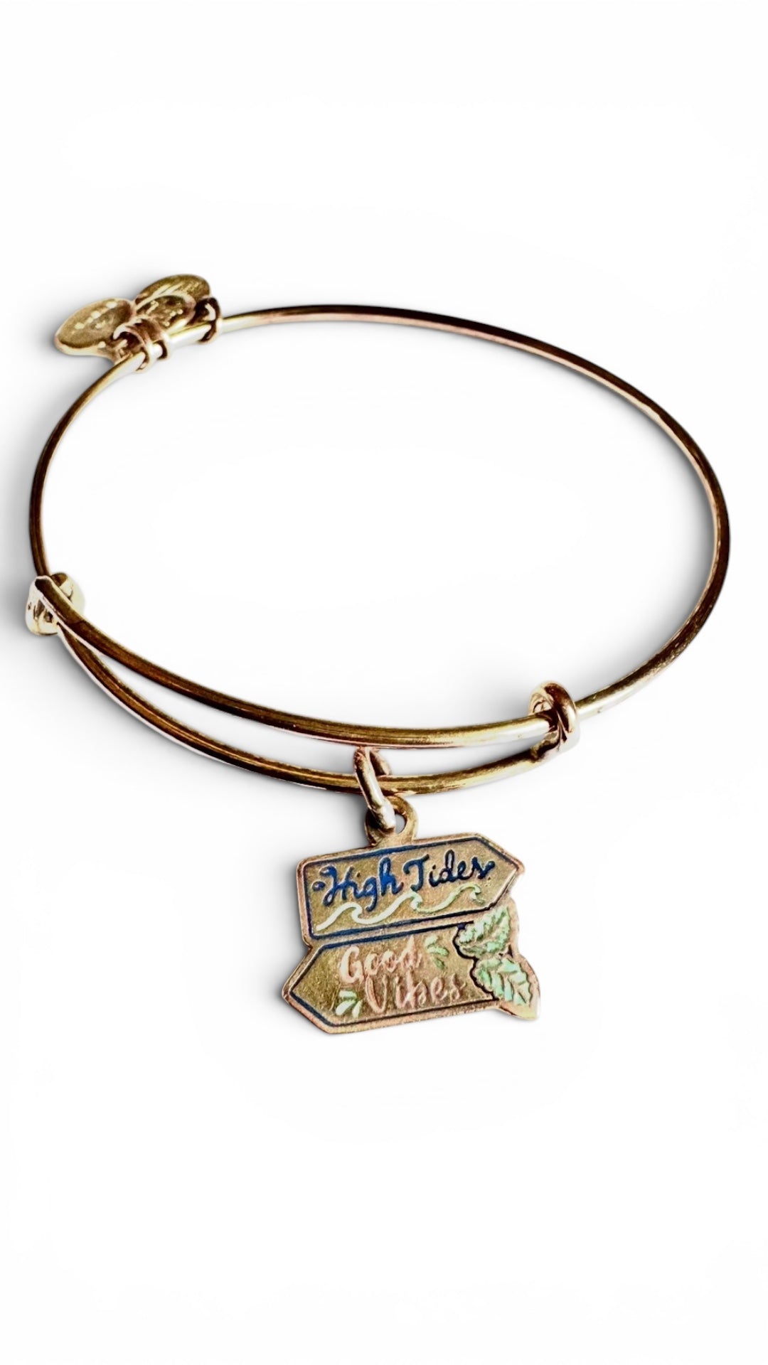 Alex and Ani - ‘High Tides Good Vibes’ Charm Bangle Bracelet