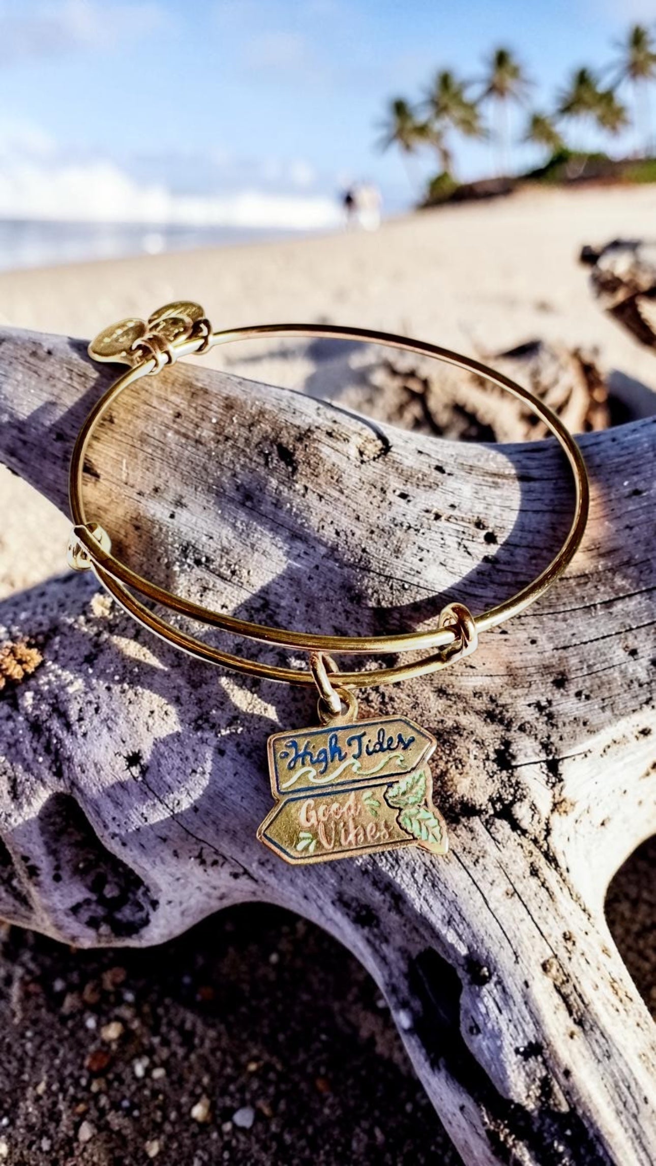 Alex and Ani - ‘High Tides Good Vibes’ Charm Bangle Bracelet