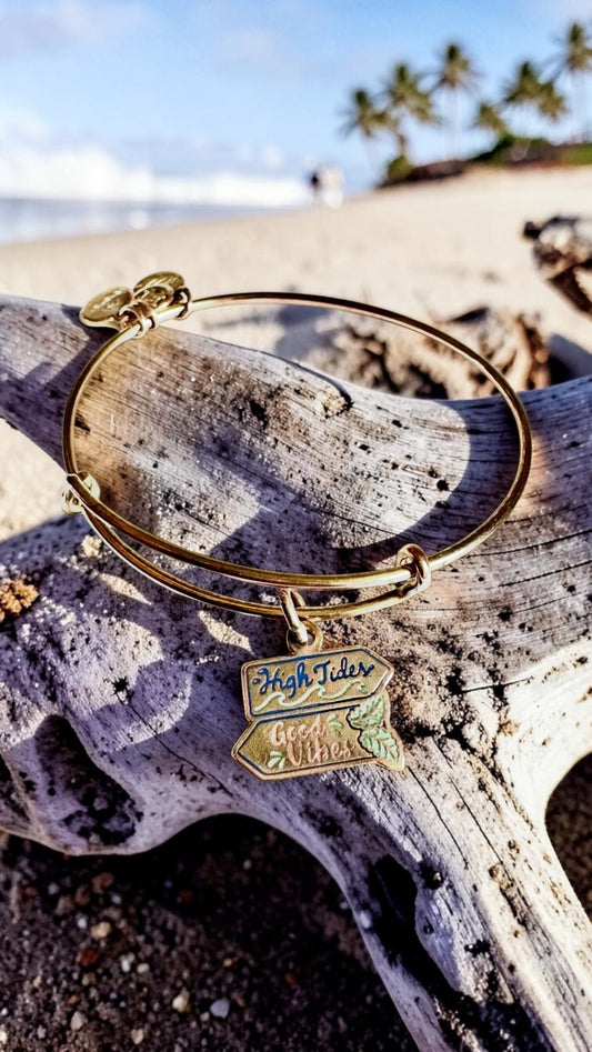 Alex and Ani - ‘High Tides Good Vibes’ Charm Bangle Bracelet