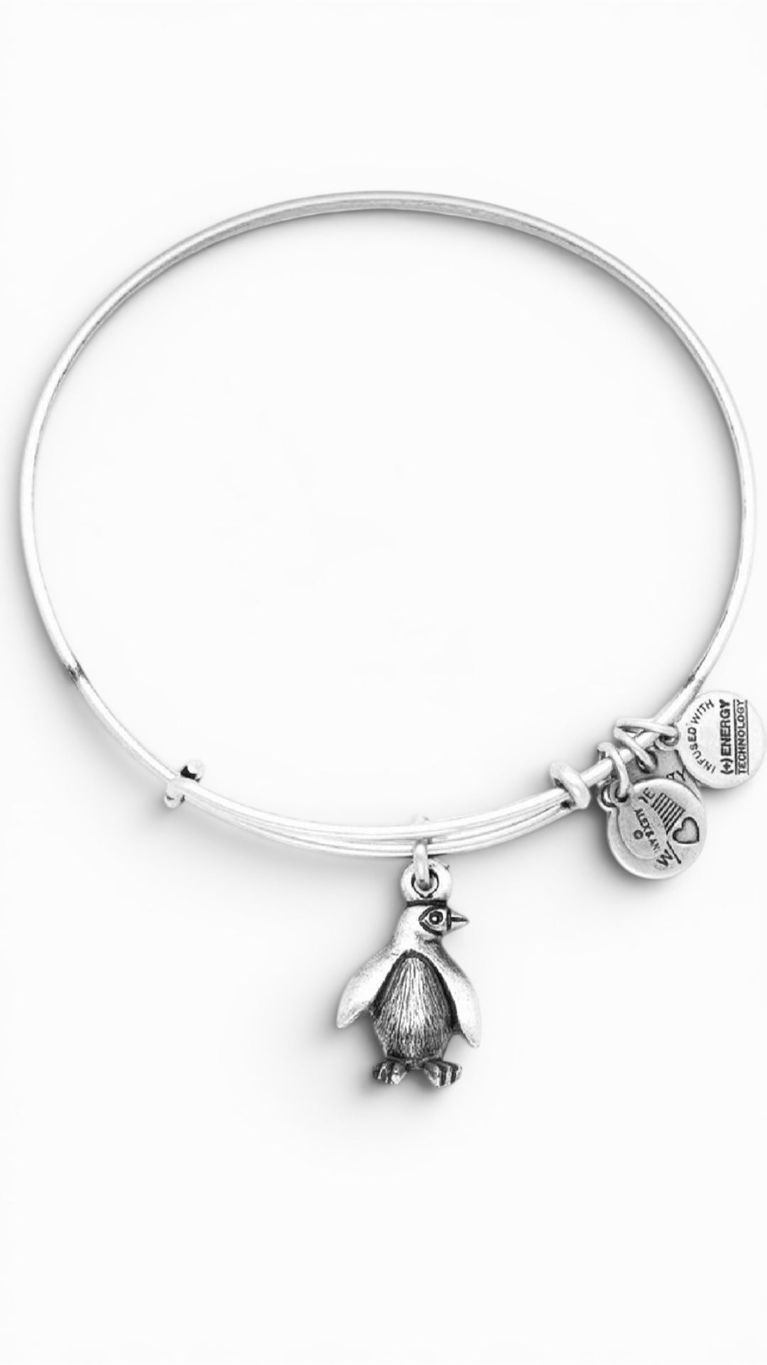 Alex and Ani - Penguin Charm Bangle Bracelet, Charity by Design