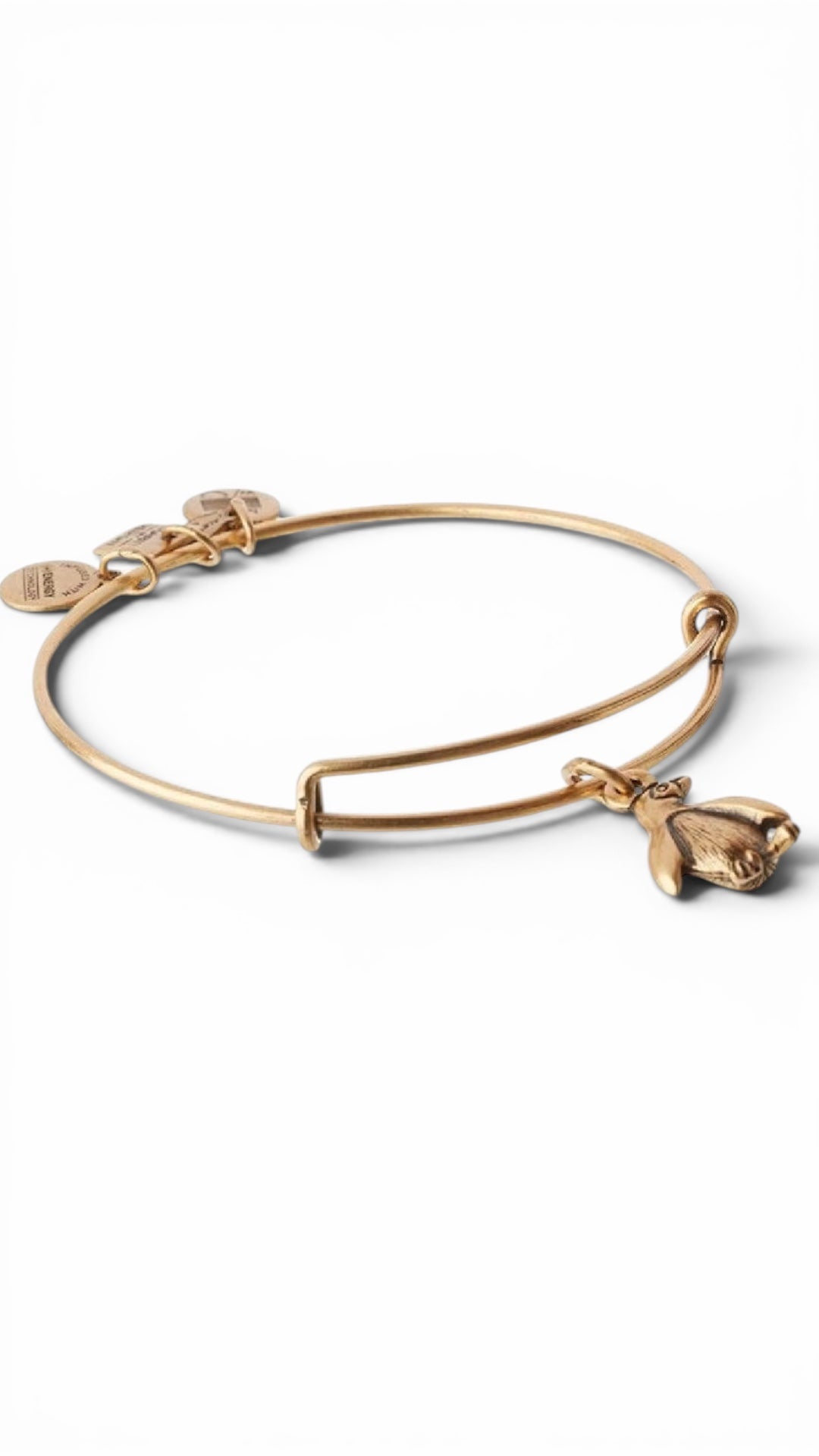 Alex and Ani - Penguin Charm Bangle Bracelet, Charity by Design